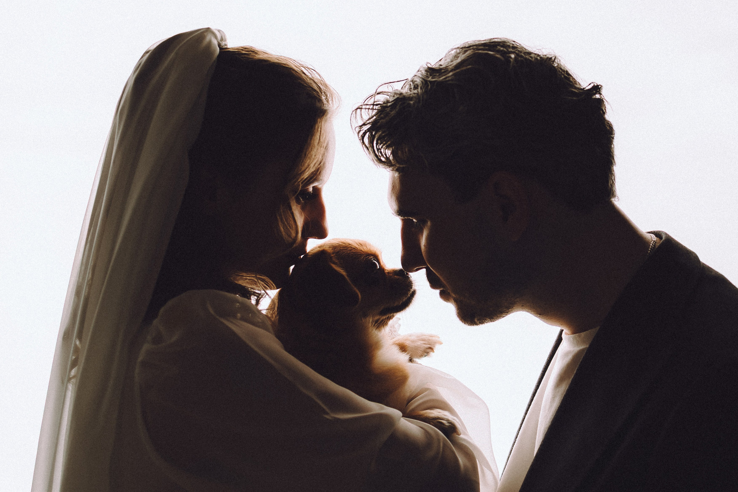 Денис, Василина, Гаврюша и Кнопка