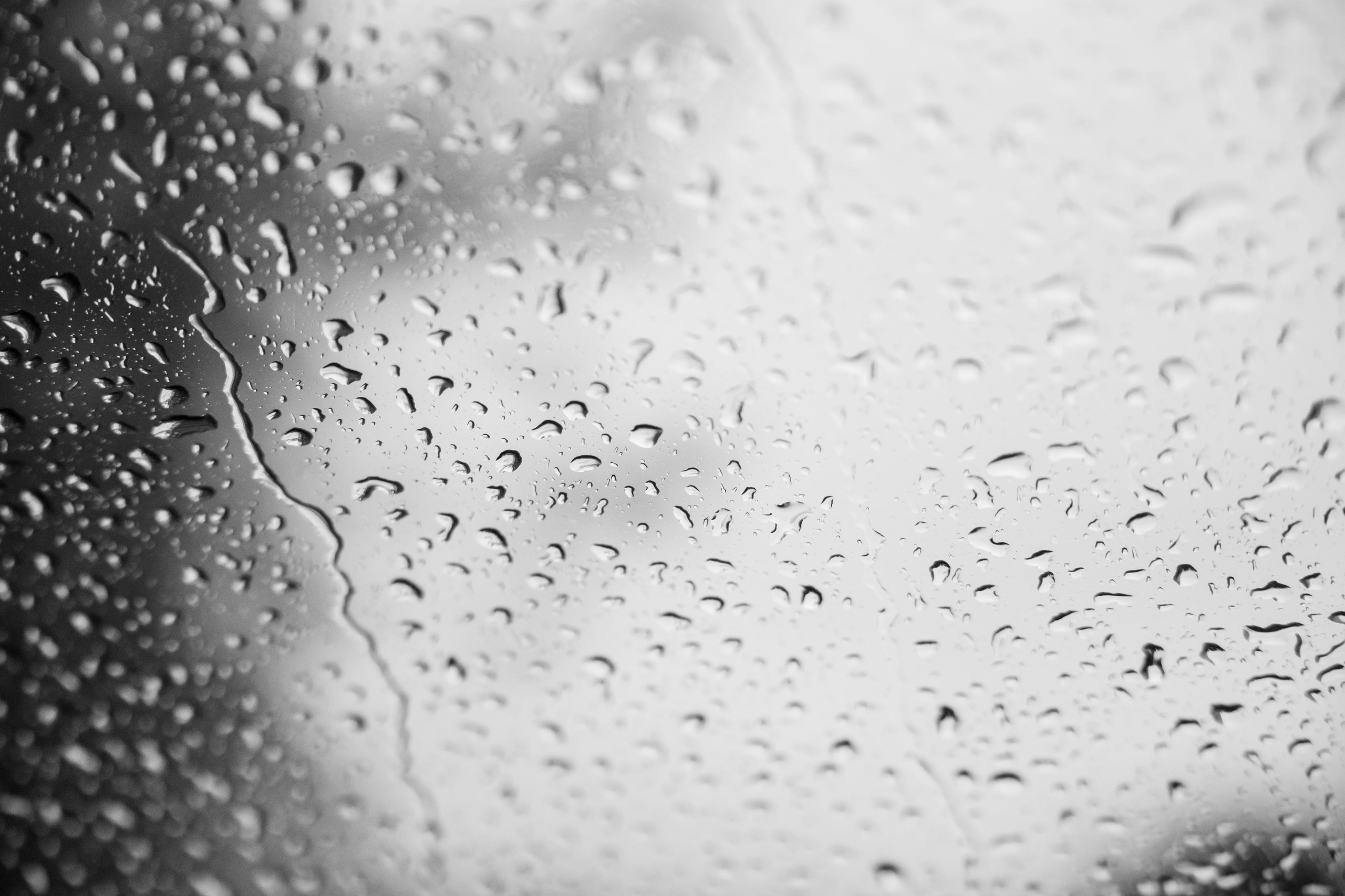 Надежда и Никита, ЗАГС г. Королев, фотостудия SpaceNoirArt. Свадебный и репортажный фотограф (Москва, Королев и другие)