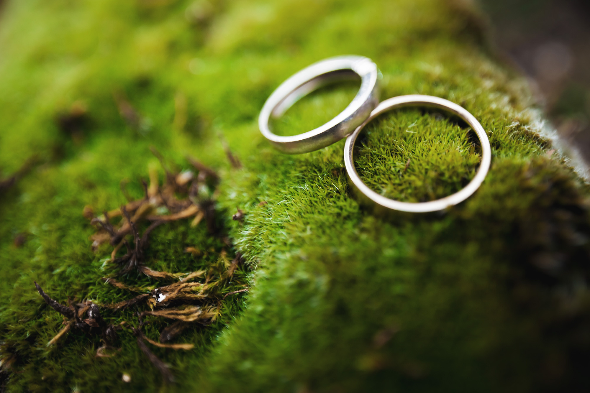 Фотограф в горном Алтае. Свадебный репортажный и фуд фотограф в Барнауле Гайфулин Виталий