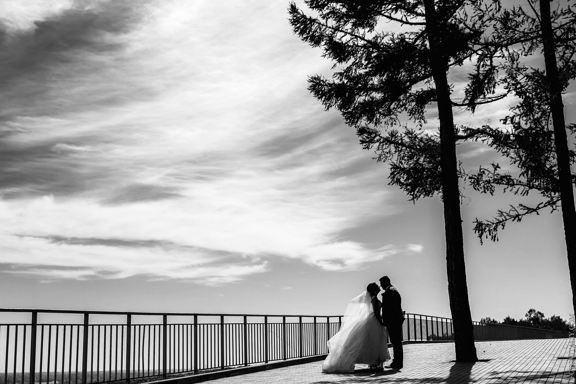 Свадебный фотограф барнаул места для прогулки. Свадебный репортажный и фуд фотограф в Барнауле Гайфулин Виталий