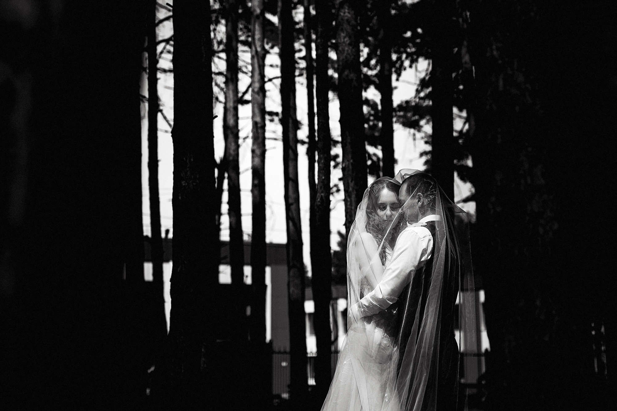 Свадебный фотограф барнаул места для прогулки. Свадебный репортажный и фуд фотограф в Барнауле Гайфулин Виталий