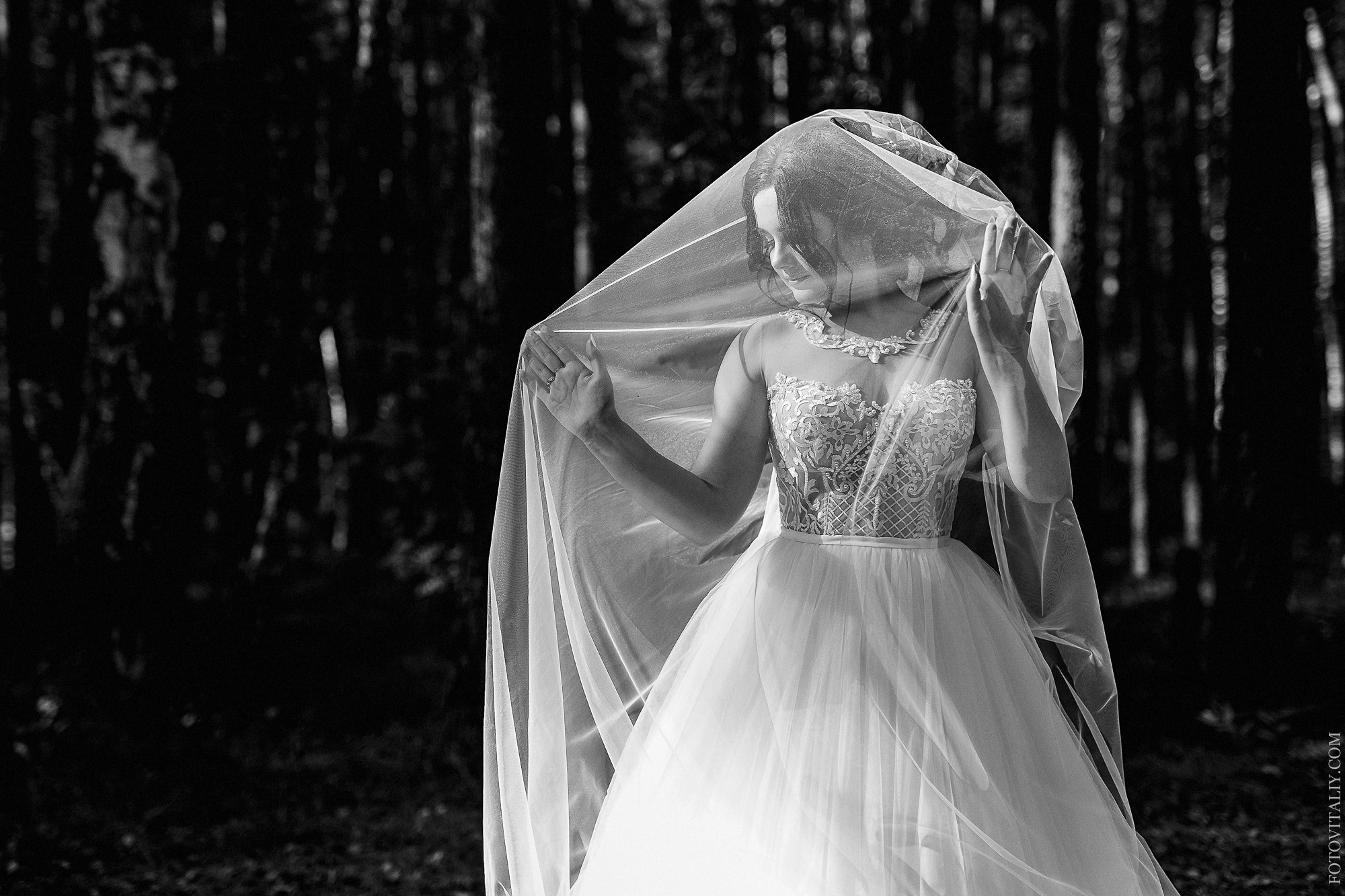 Свадебный фотограф барнаул места для прогулки. Свадебный репортажный и фуд фотограф в Барнауле Гайфулин Виталий