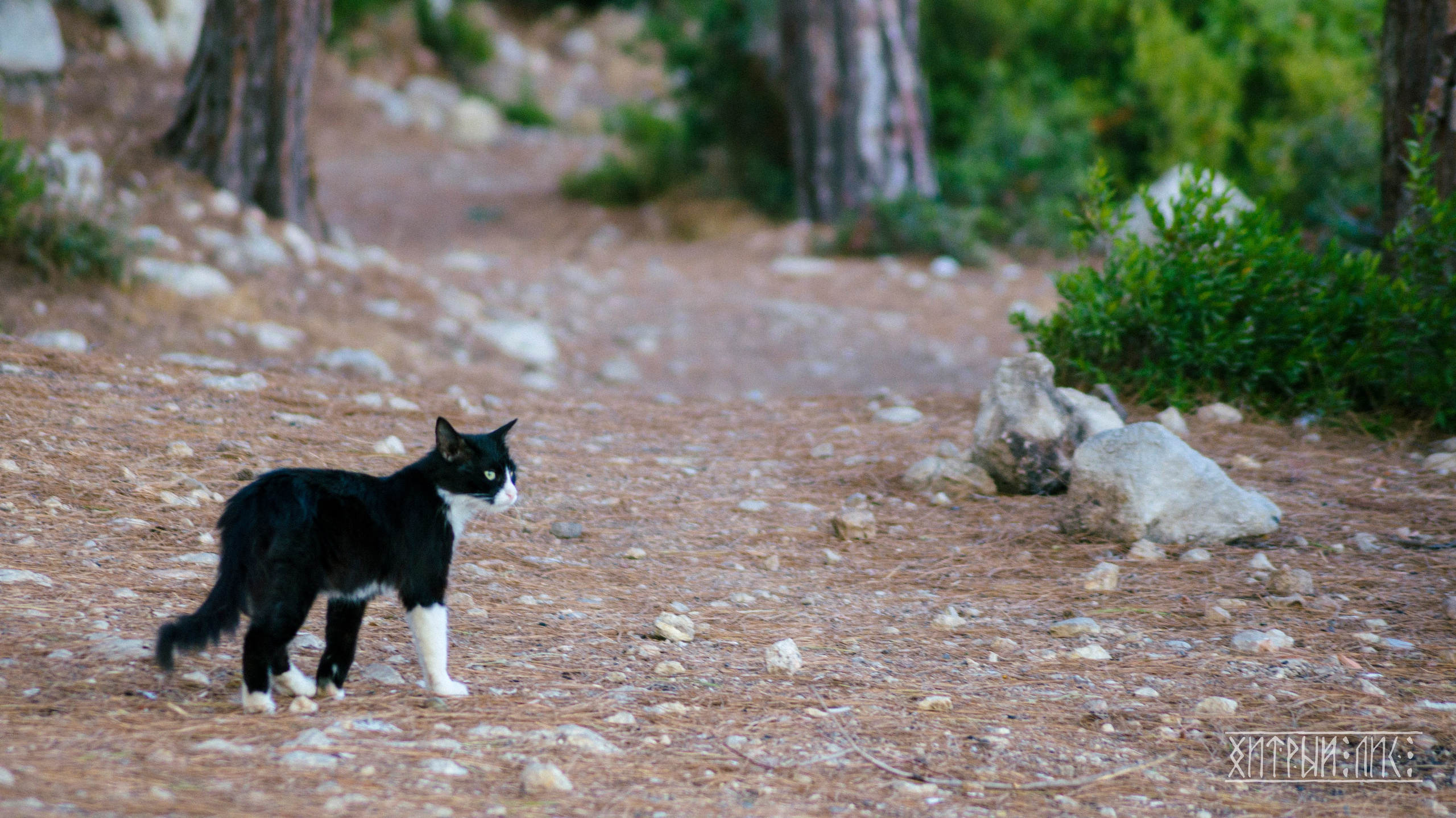 Турция. Ликийский путь. Фотограф-путешественник Самойлов Максим «Sly Fox»