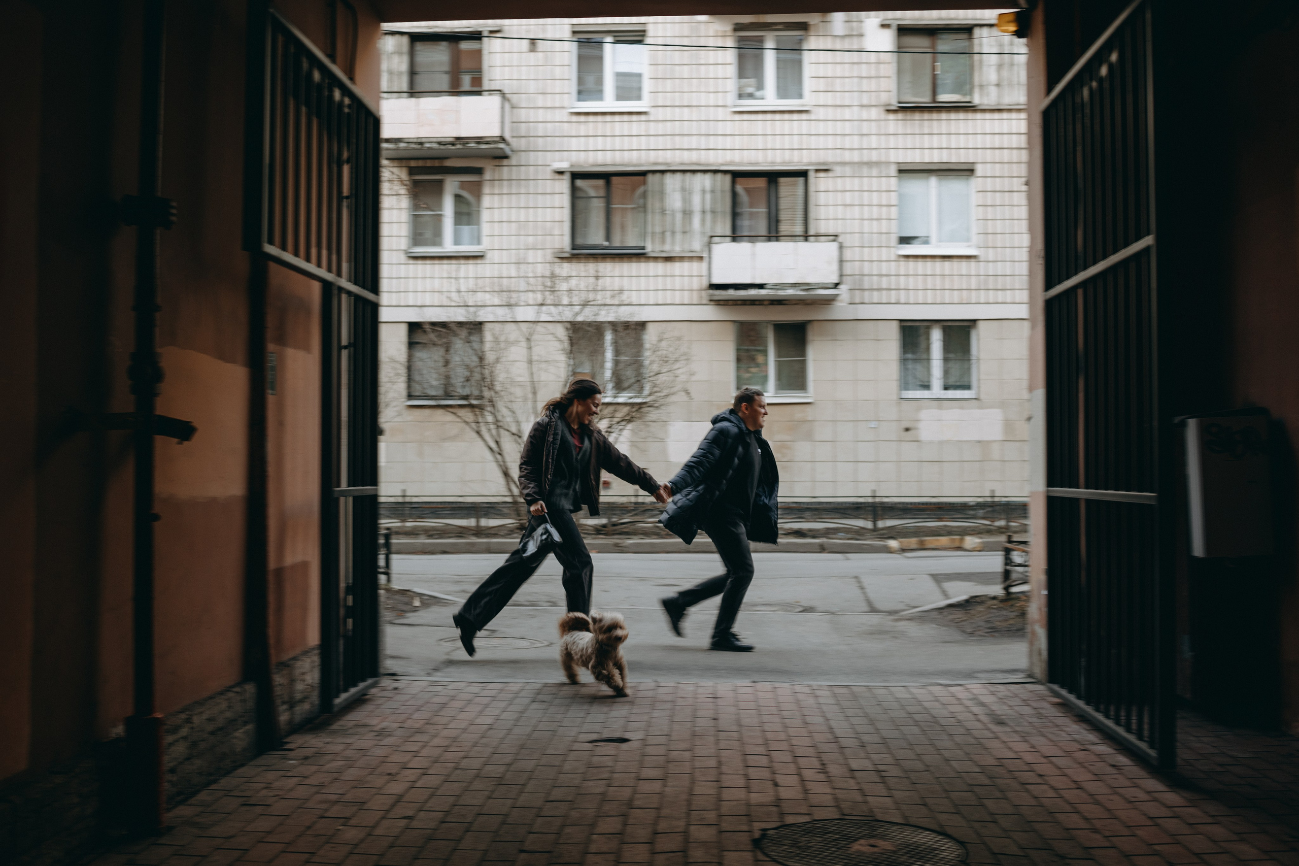 Шкипер и его семья. Фотограф — Анималист | Санкт-Петербург