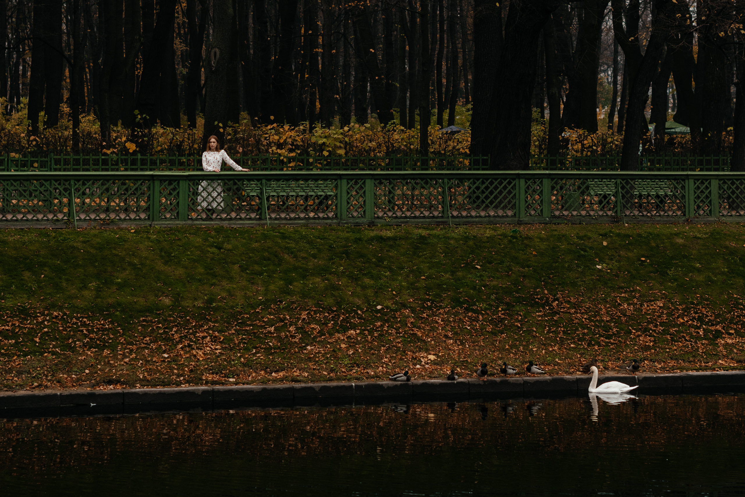 The Summer Garden. Профессиональный фотограф в Чебаркуле и Челябинске Давигора Елизавета