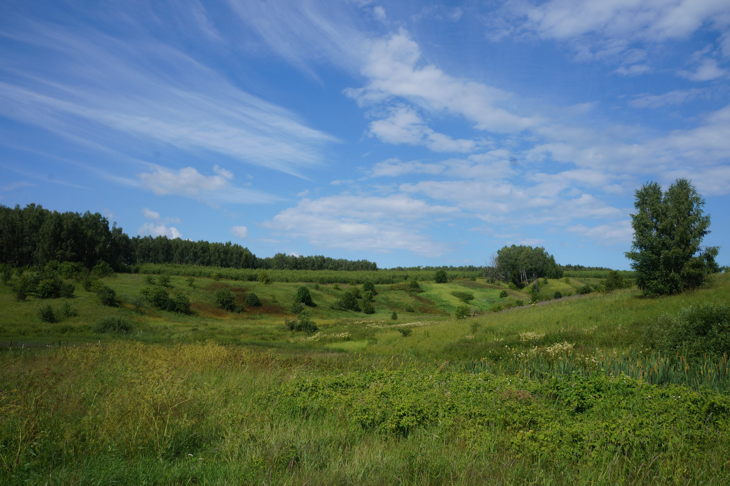Портфолио. Фотограф в Москве Александра