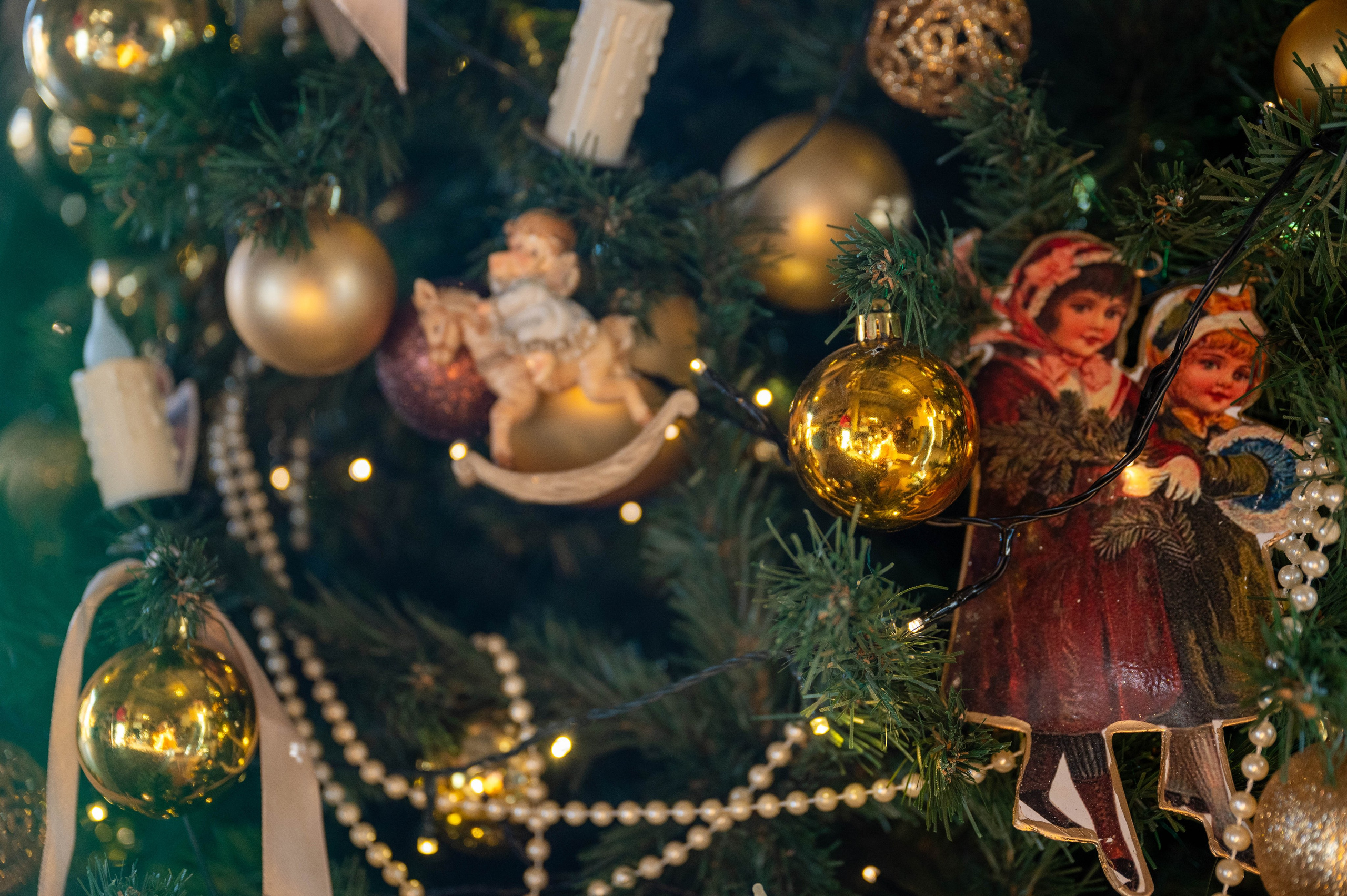 Новый год девушка. Семейный и контент фотограф в Москве Alira