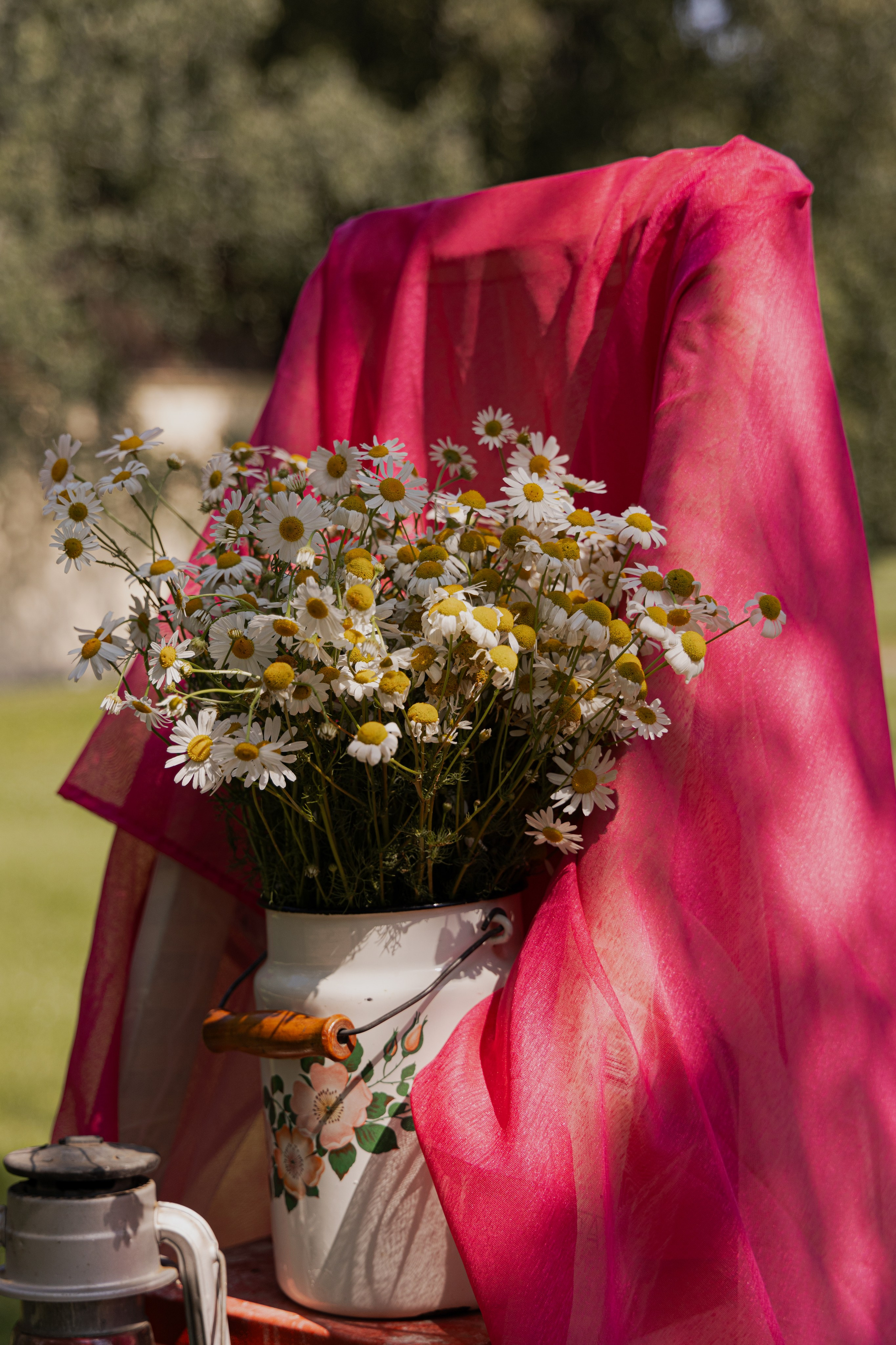 МК Пион (пикник в парке). Анастасия Ракчеева Художник