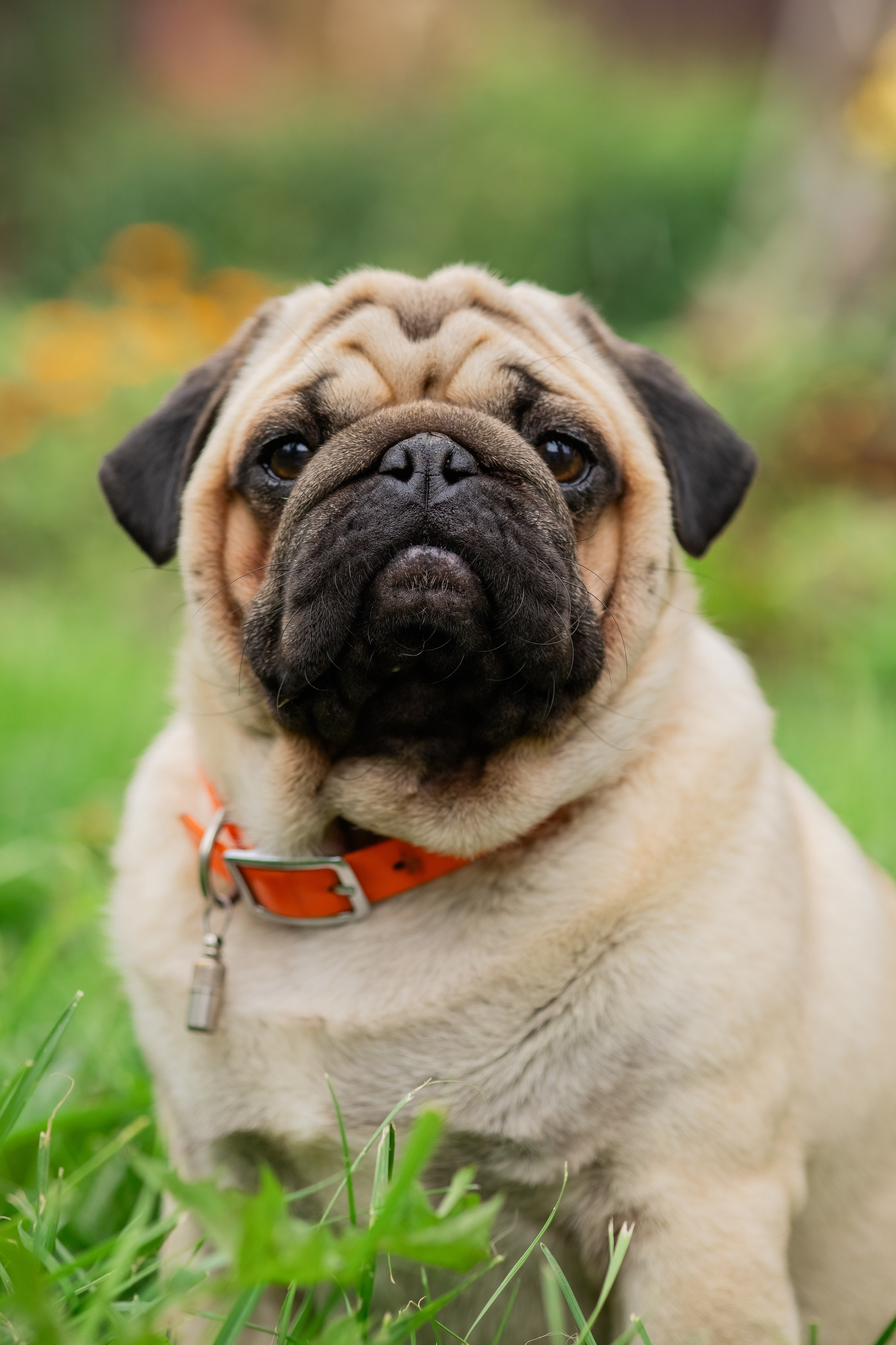 Сёма и Жужа. Август. Фотограф Яна Матвеева в Ижевске