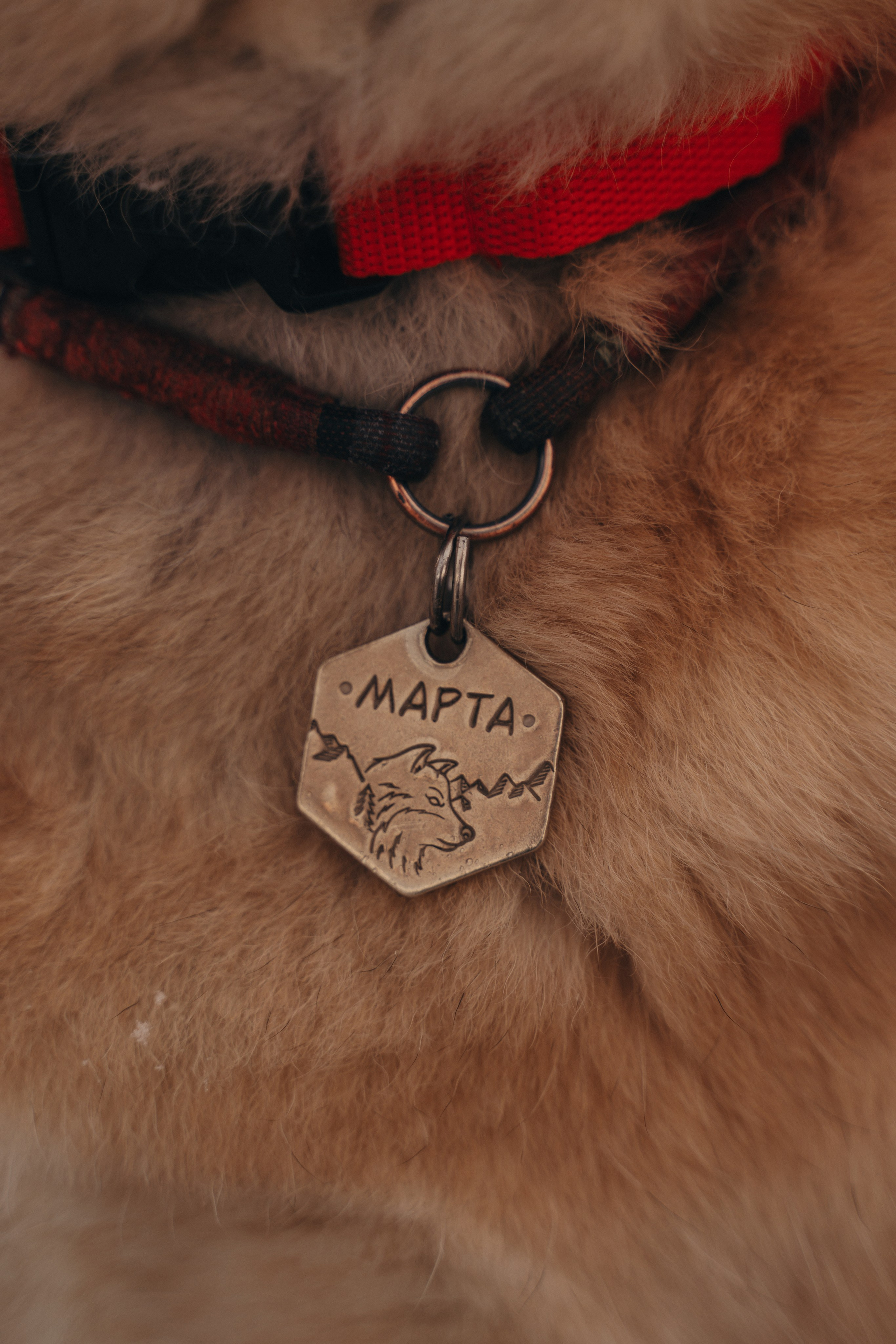 Февраль с Мартой 💞. FotoTanya. Раменское/Жуковский/Бронницы