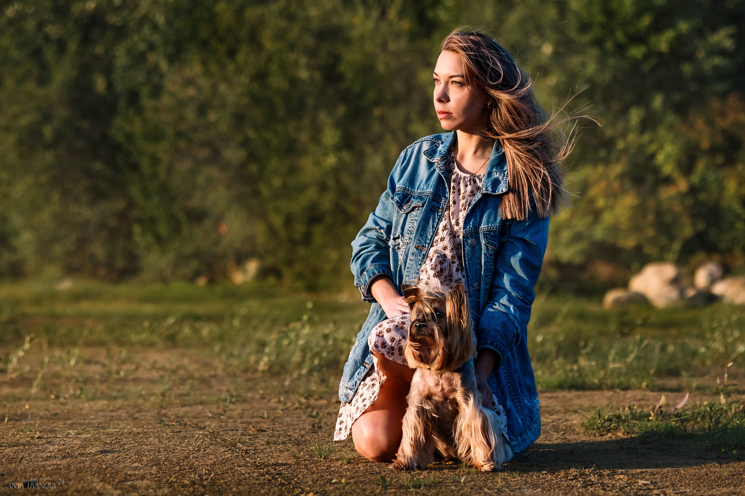 Катя и йорки. Фотограф анималист Аня Ливанова | Рыбинск