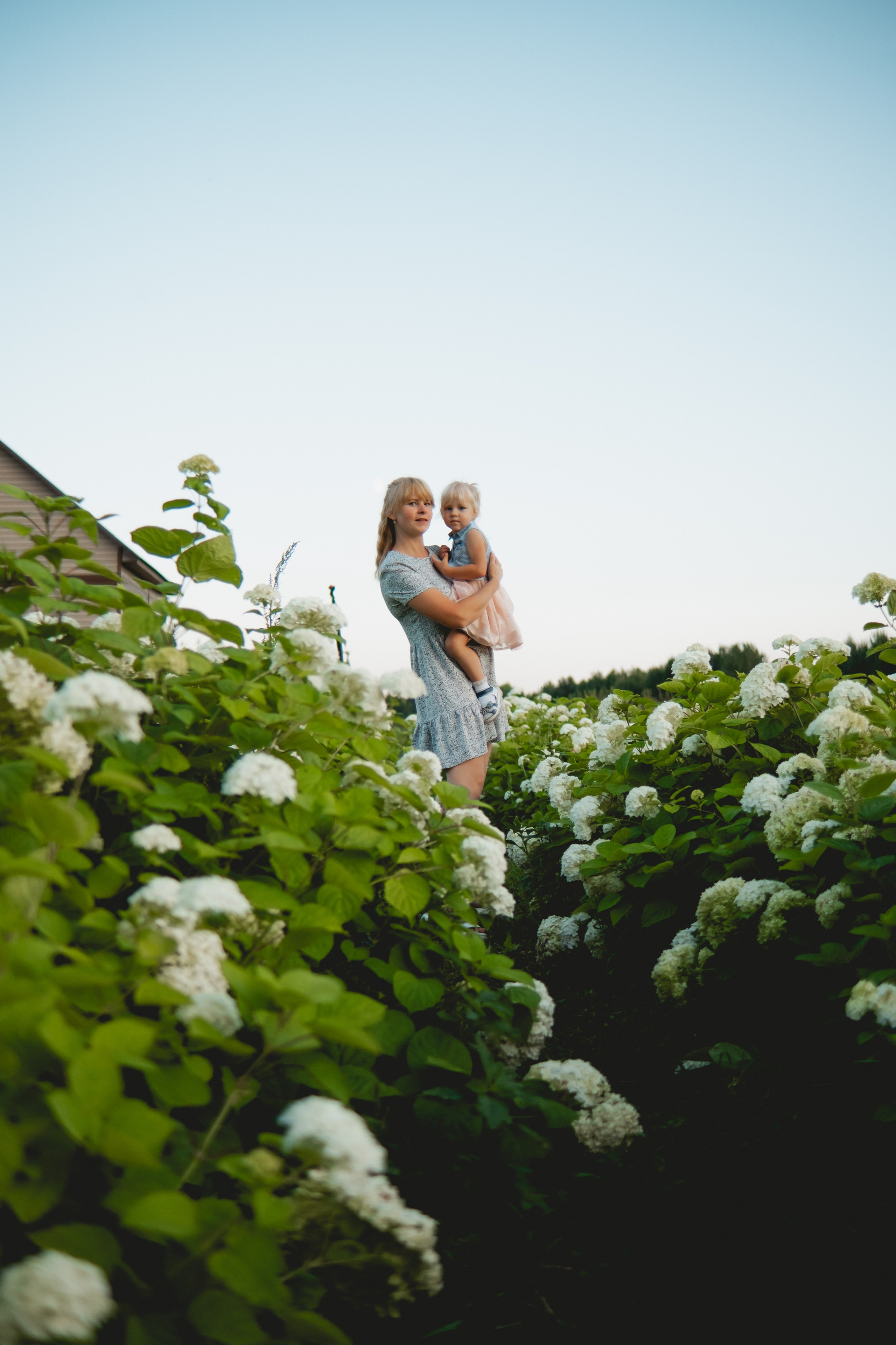 Семейная съемка в лованде. Nattie.ph