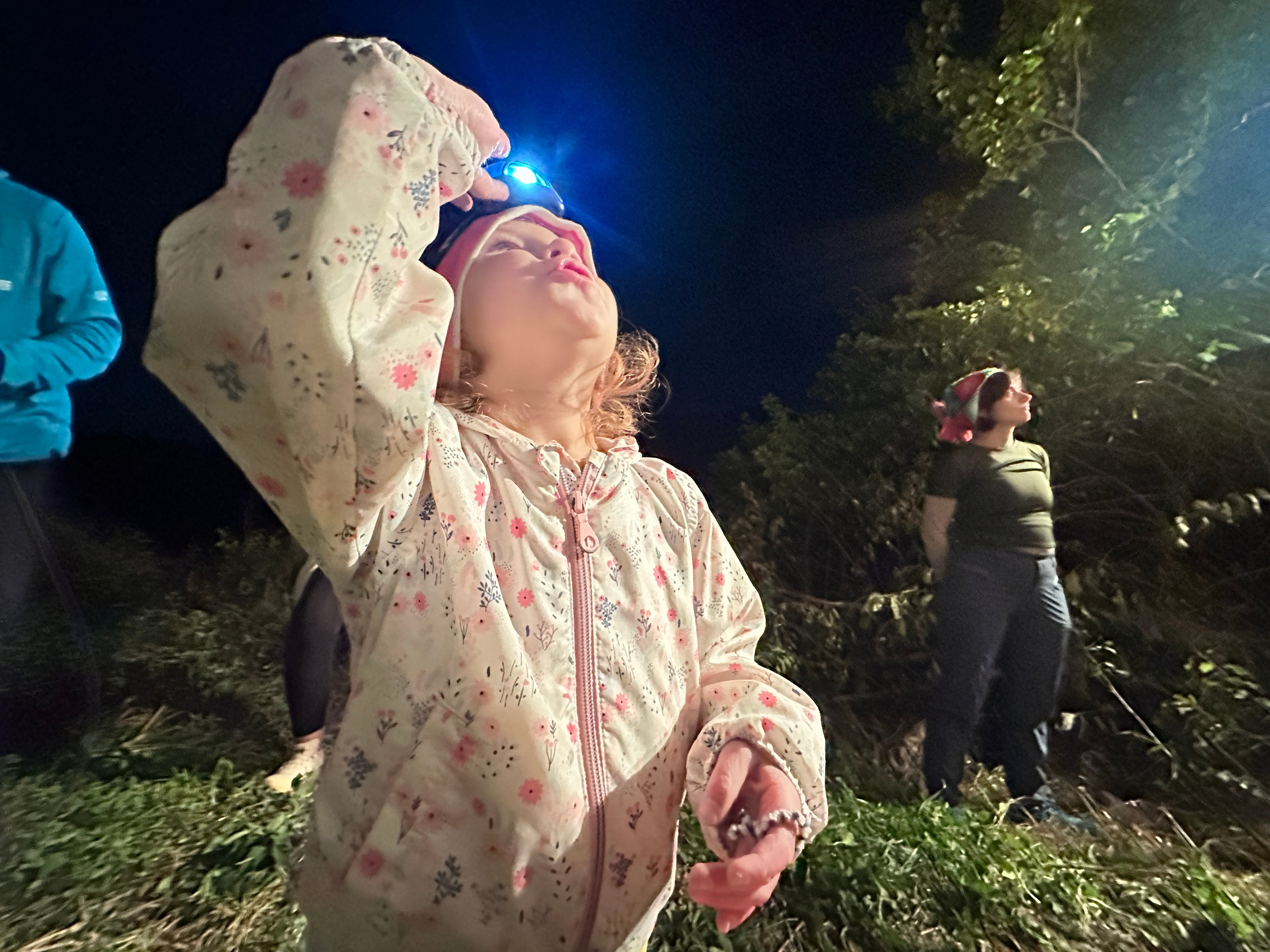 Дети. Смотри, красота!