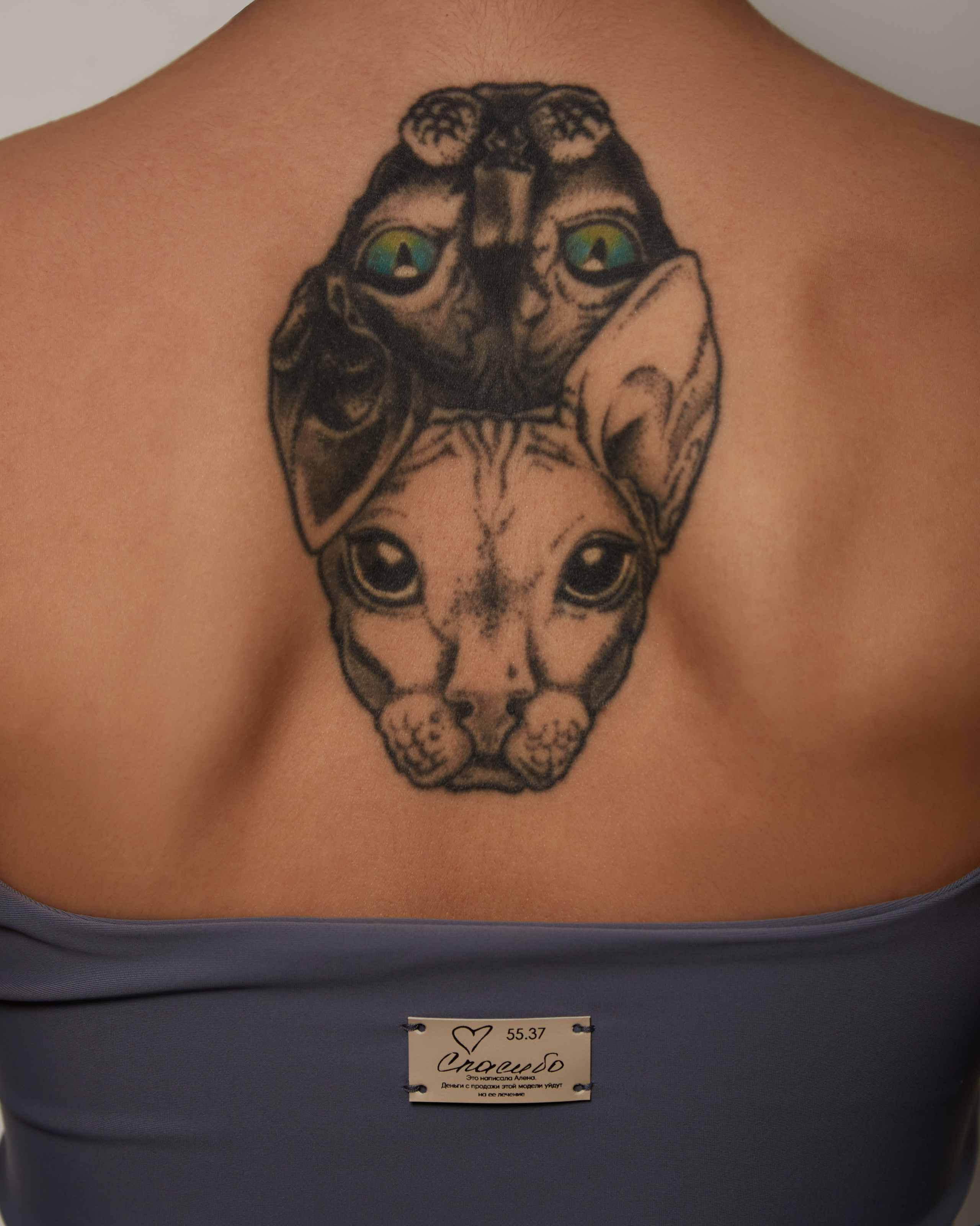 5537. Фотографирую так, что тебе будут завидовать!