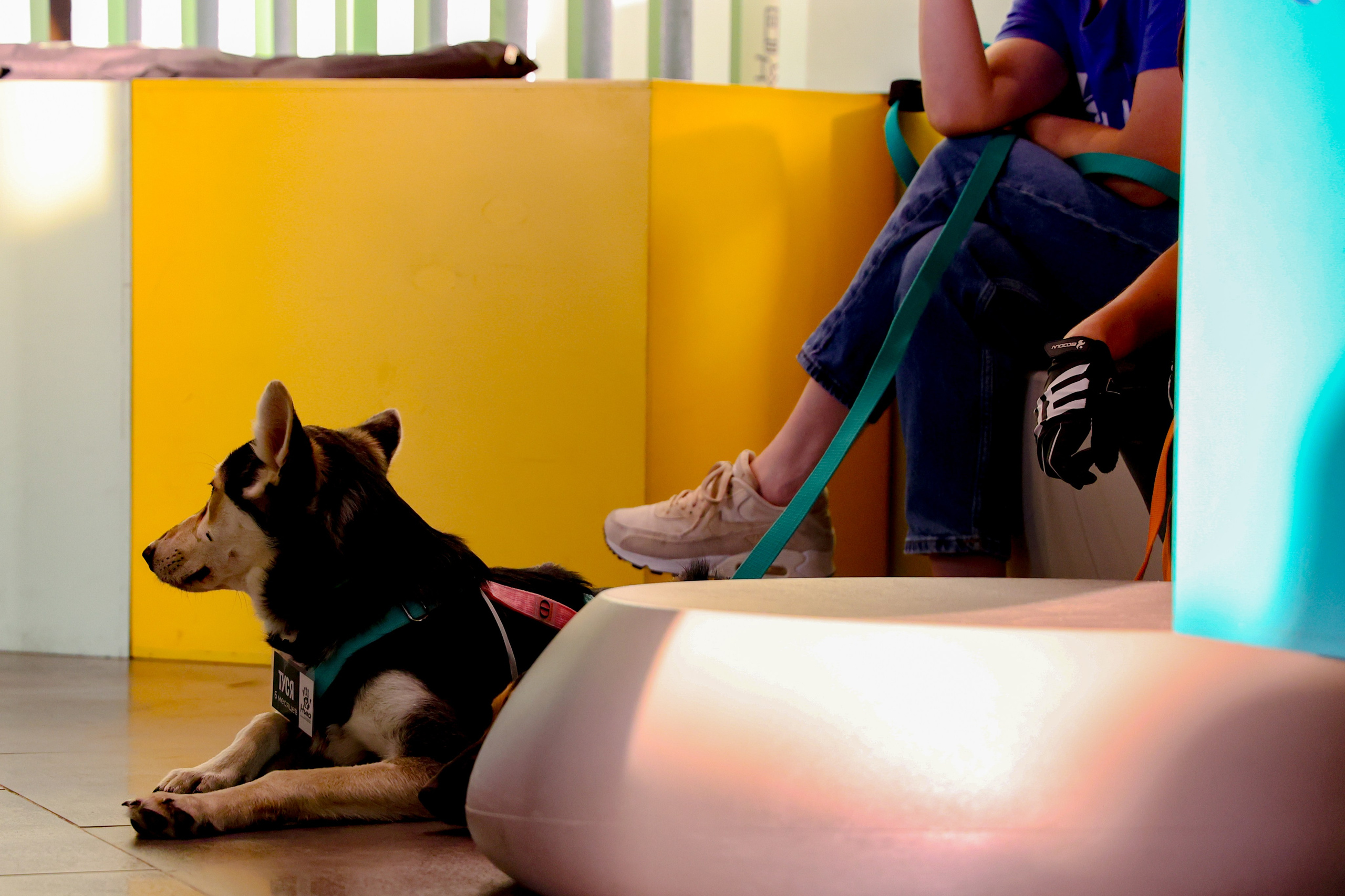 ECO FEST. Фотограф Вадим Бодылев