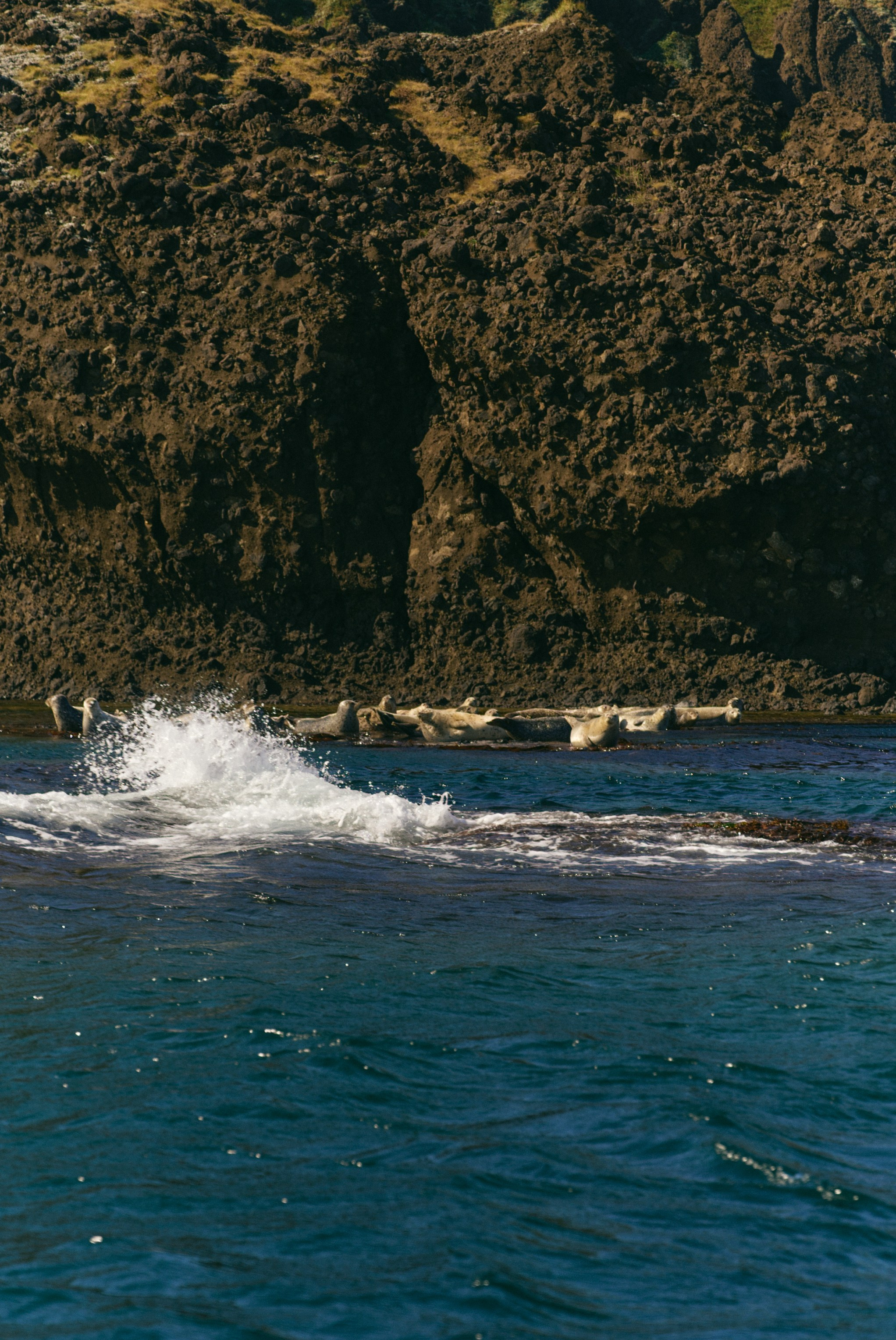 BAON x SAKHALIN. Фотограф Сурков Никита