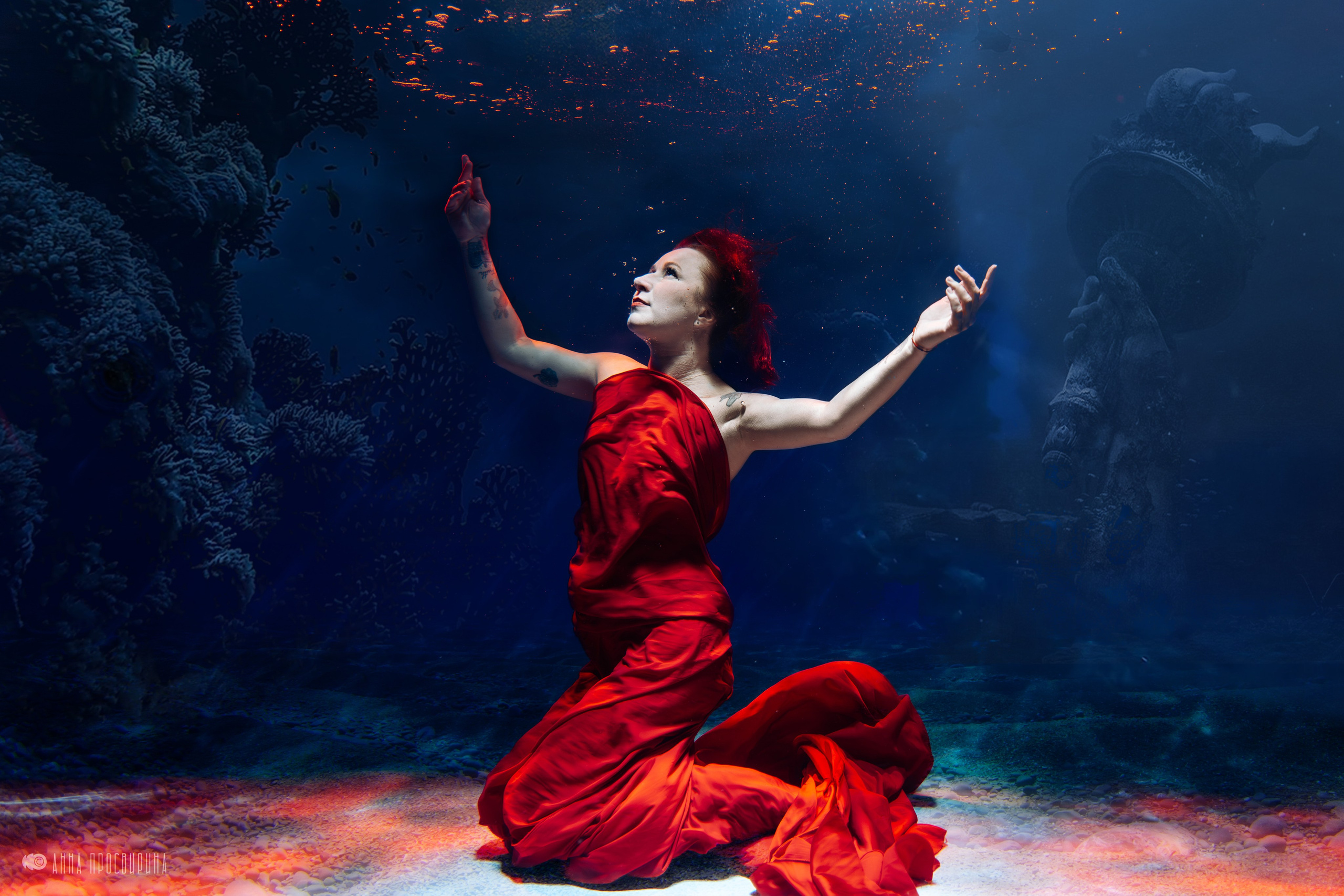 Подводная съемка. Ваш фотограф в Санкт-Петербурге Анна Просвирина