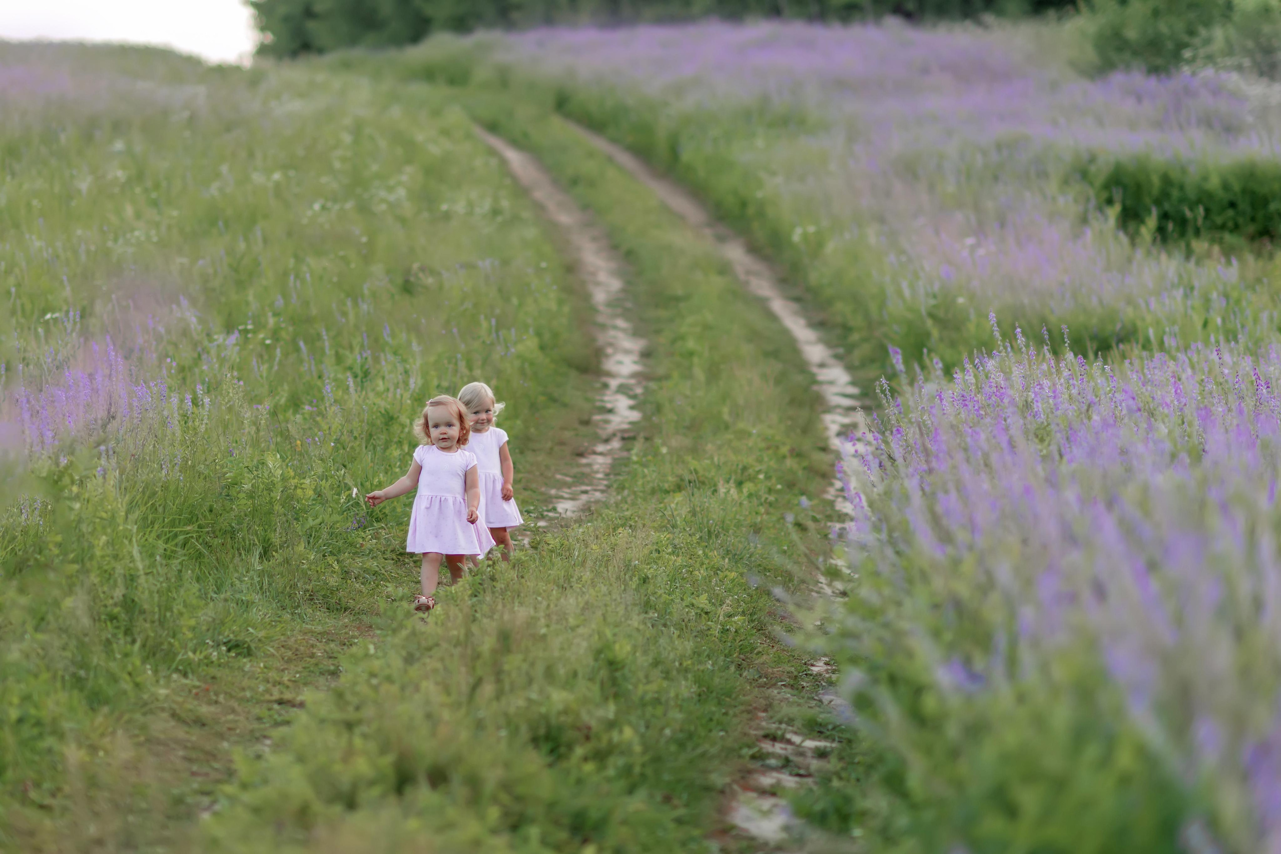 поле девушка дети девочка сиреневый поле козлятник галега бег смех весна зима лето осень зеленый зелень трава тропинка дорога 