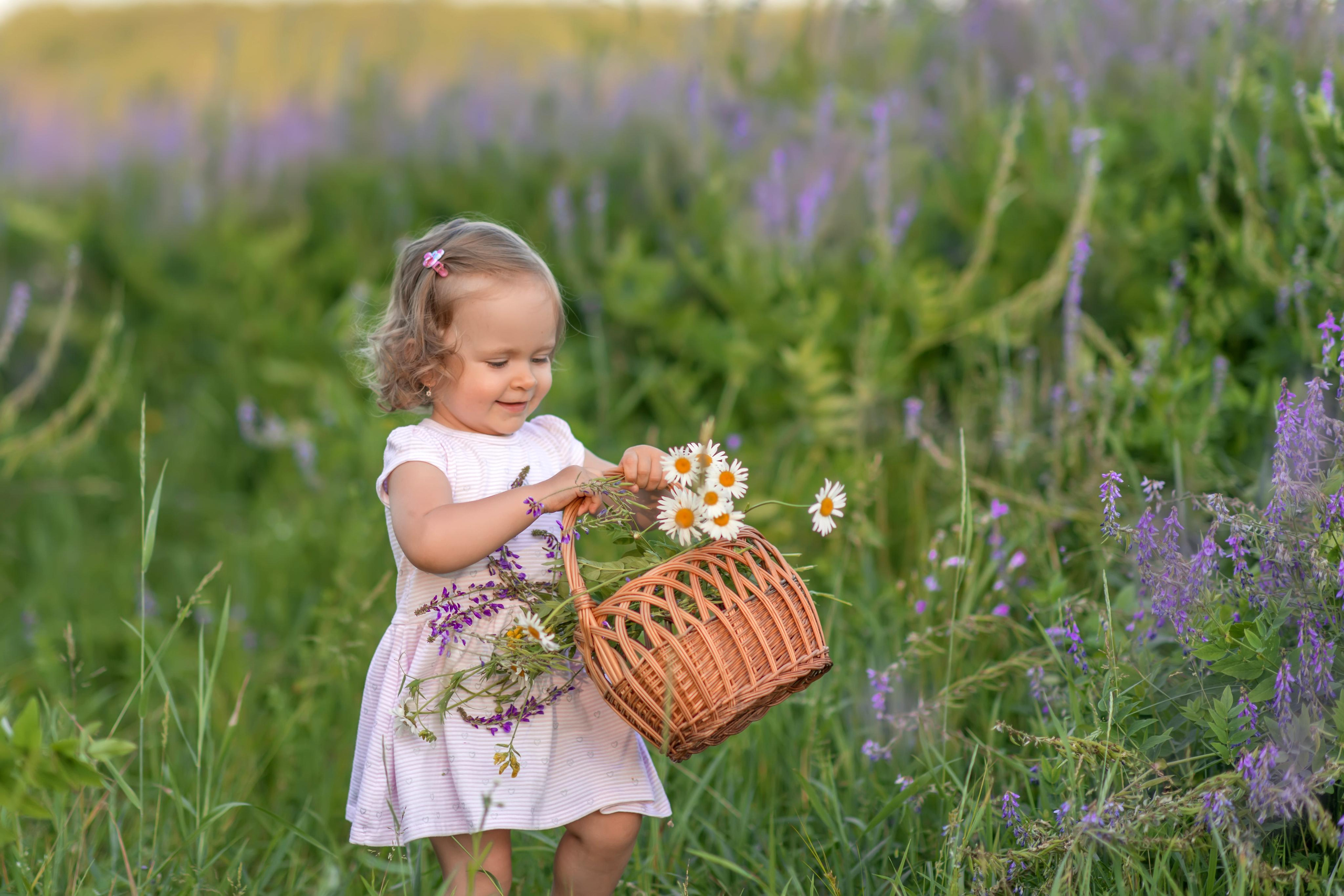поле девушка дети девочка сиреневый поле козлятник галега бег смех весна зима лето осень зеленый зелень трава тропинка дорога 