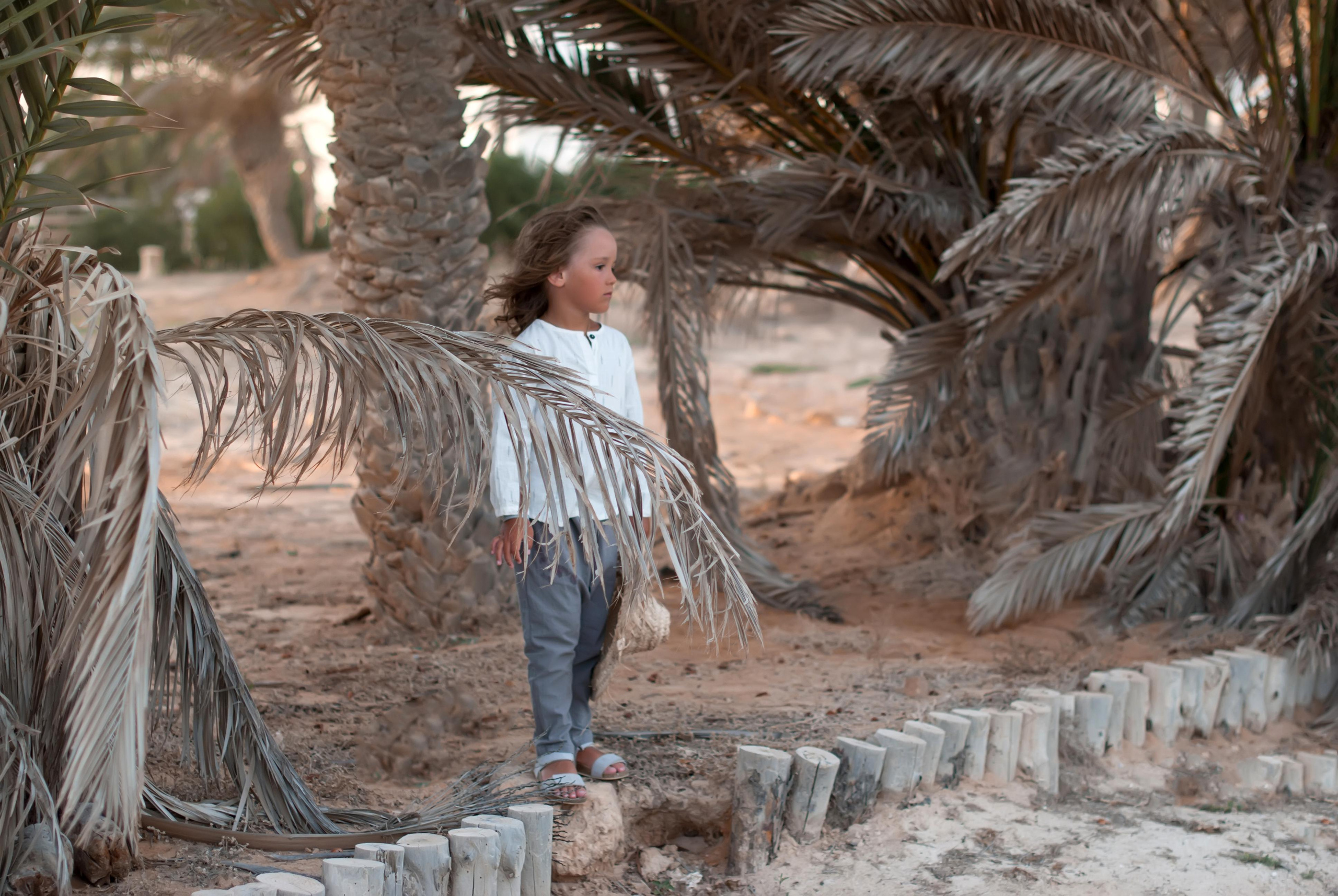 море африка тунис джерба турист туризм хижина пальма заброшенный отель берег побережье шляпа сад садовник