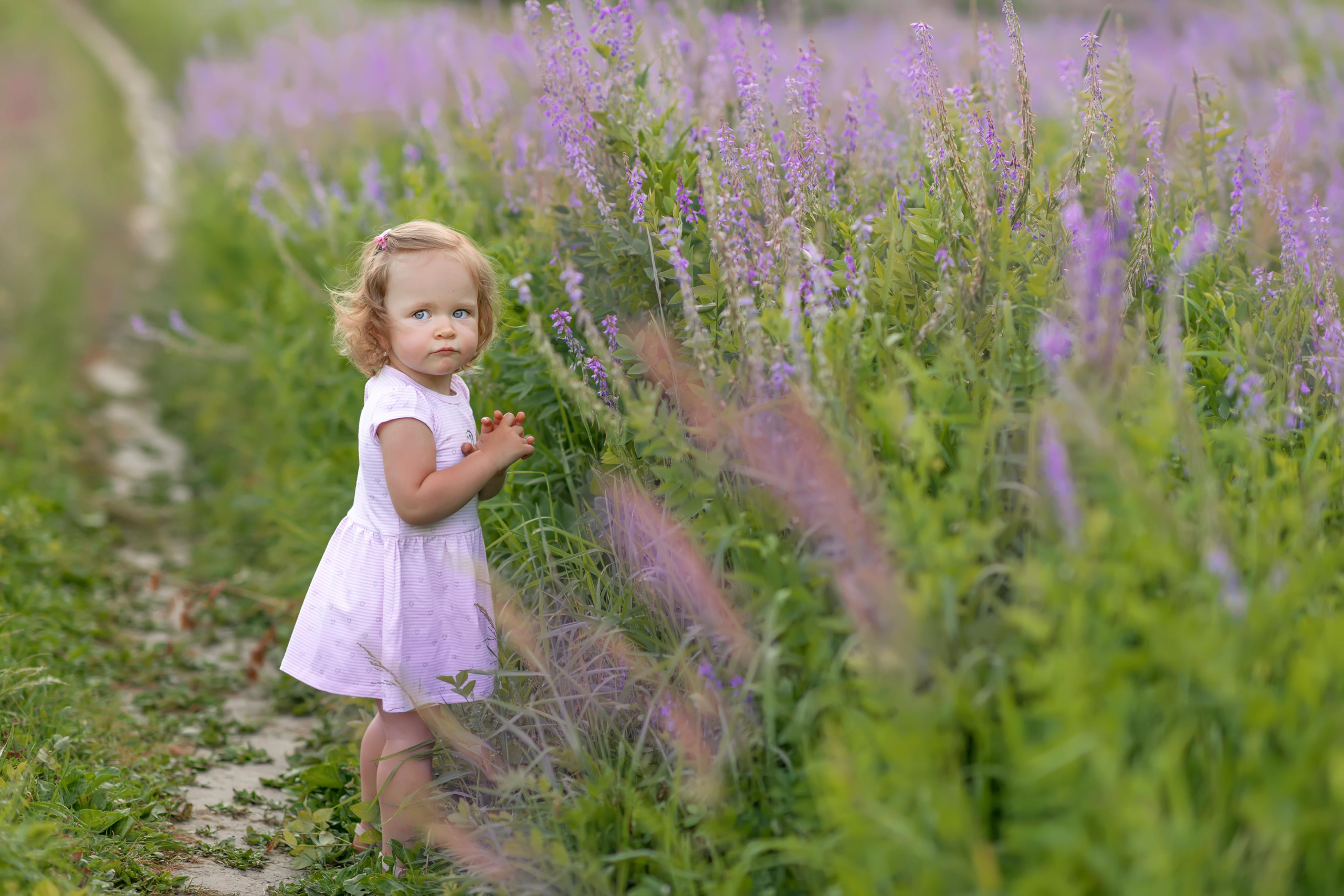 поле девушка дети девочка сиреневый поле козлятник галега бег смех весна зима лето осень зеленый зелень трава тропинка дорога 