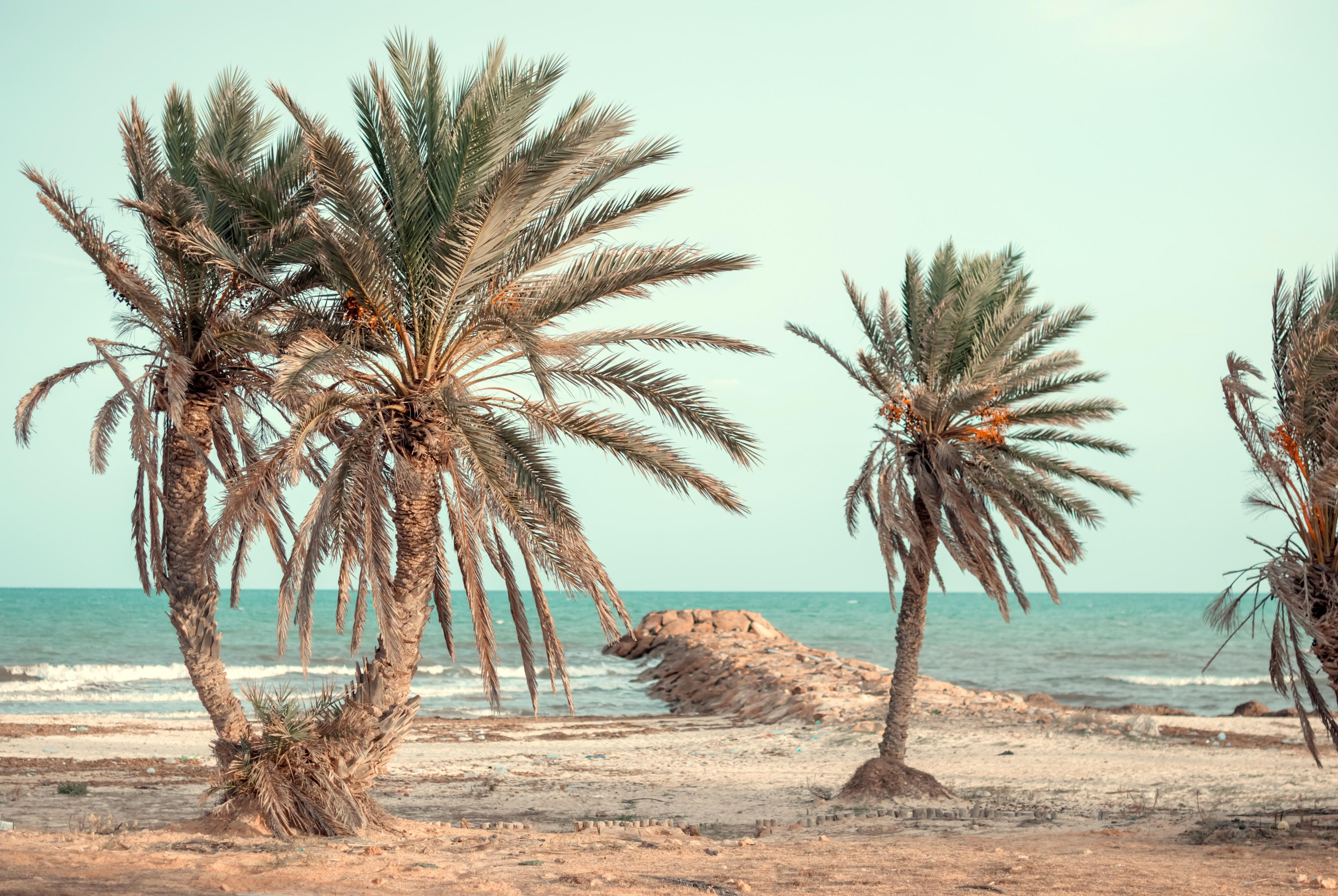 Заброшенный отель. Тунис. о.Джерба. Фотограф Яна Сергеенкова