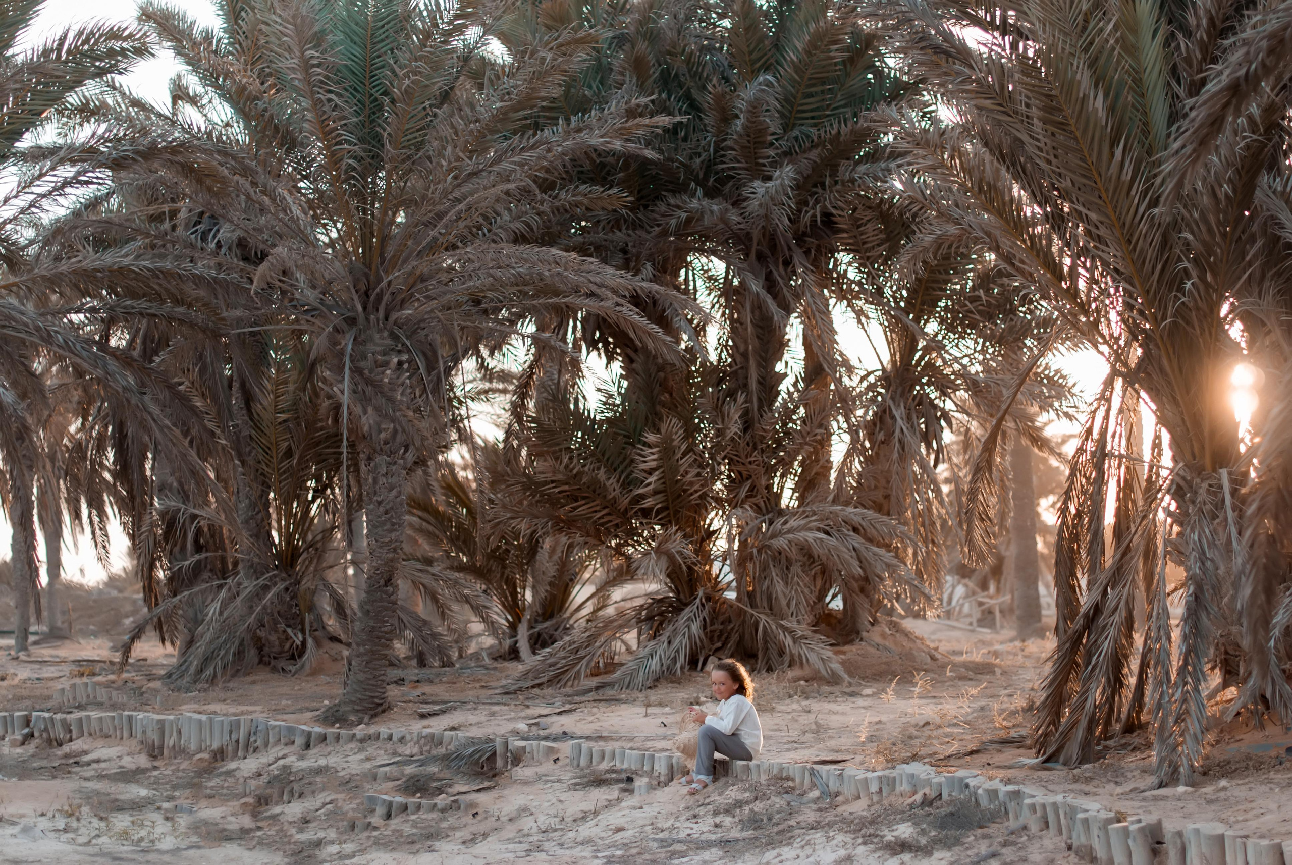 море африка тунис джерба турист туризм хижина пальма заброшенный отель берег побережье шляпа сад садовник