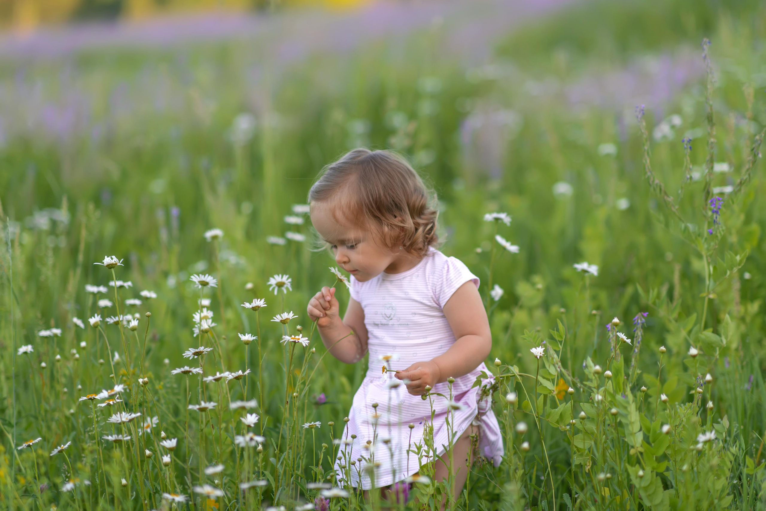 поле девушка дети девочка сиреневый поле козлятник галега бег смех весна зима лето осень зеленый зелень трава тропинка дорога 