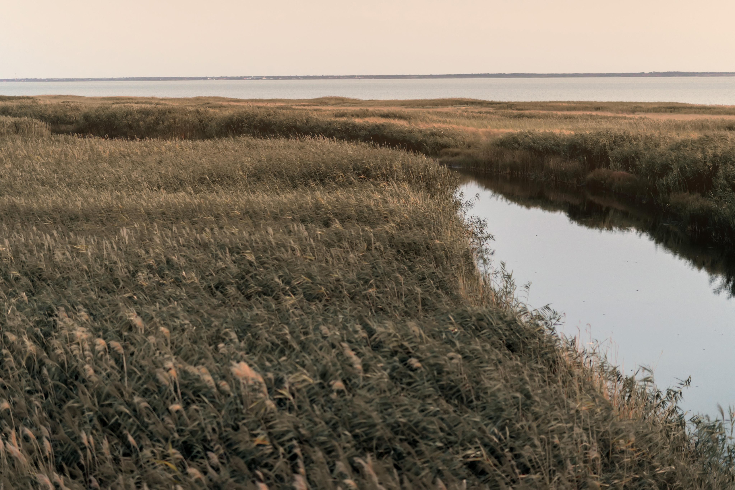 Анна. Азовское море. Фотограф Яна Сергеенкова