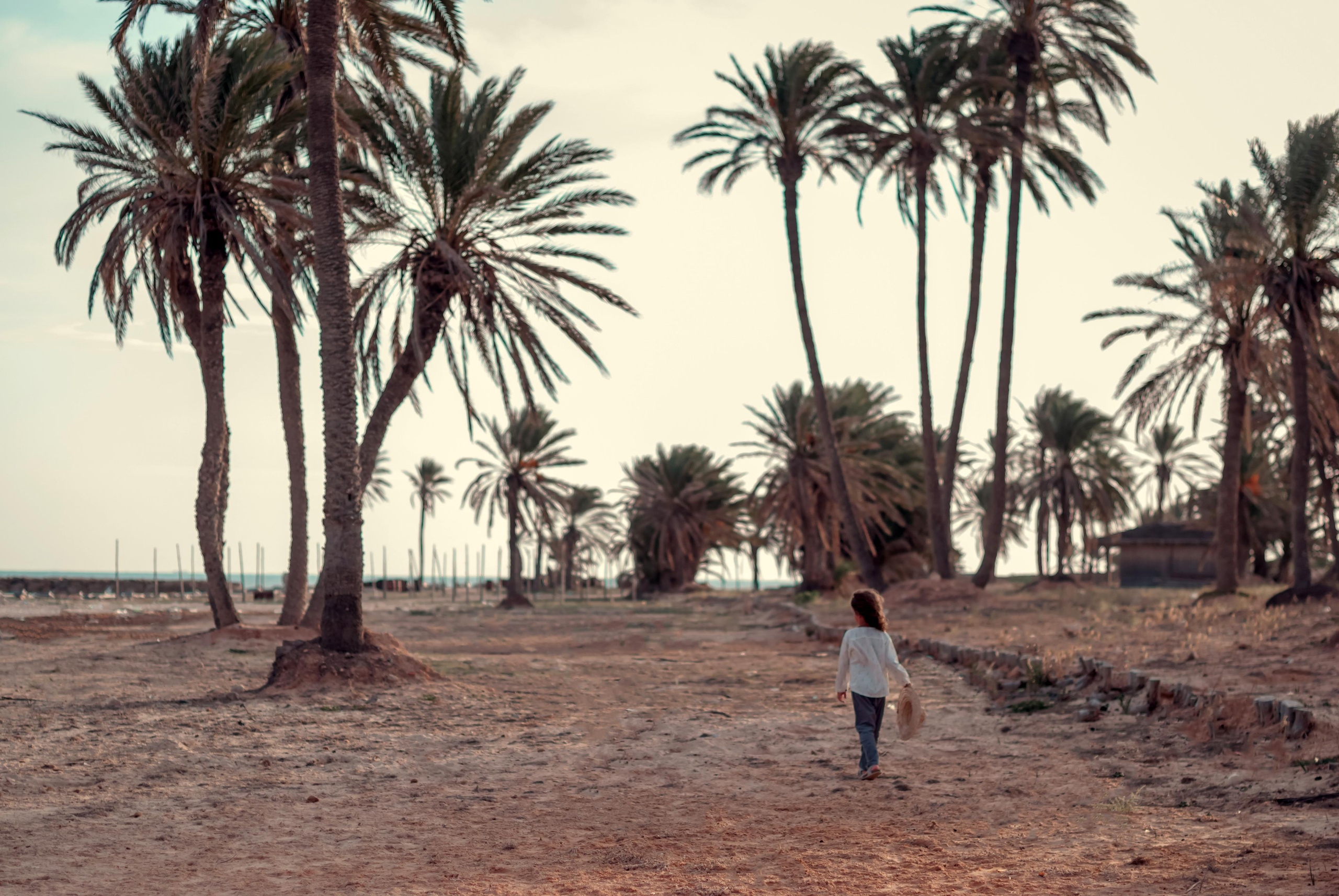 Заброшенный отель. Тунис. о.Джерба. Фотограф Яна Сергеенкова