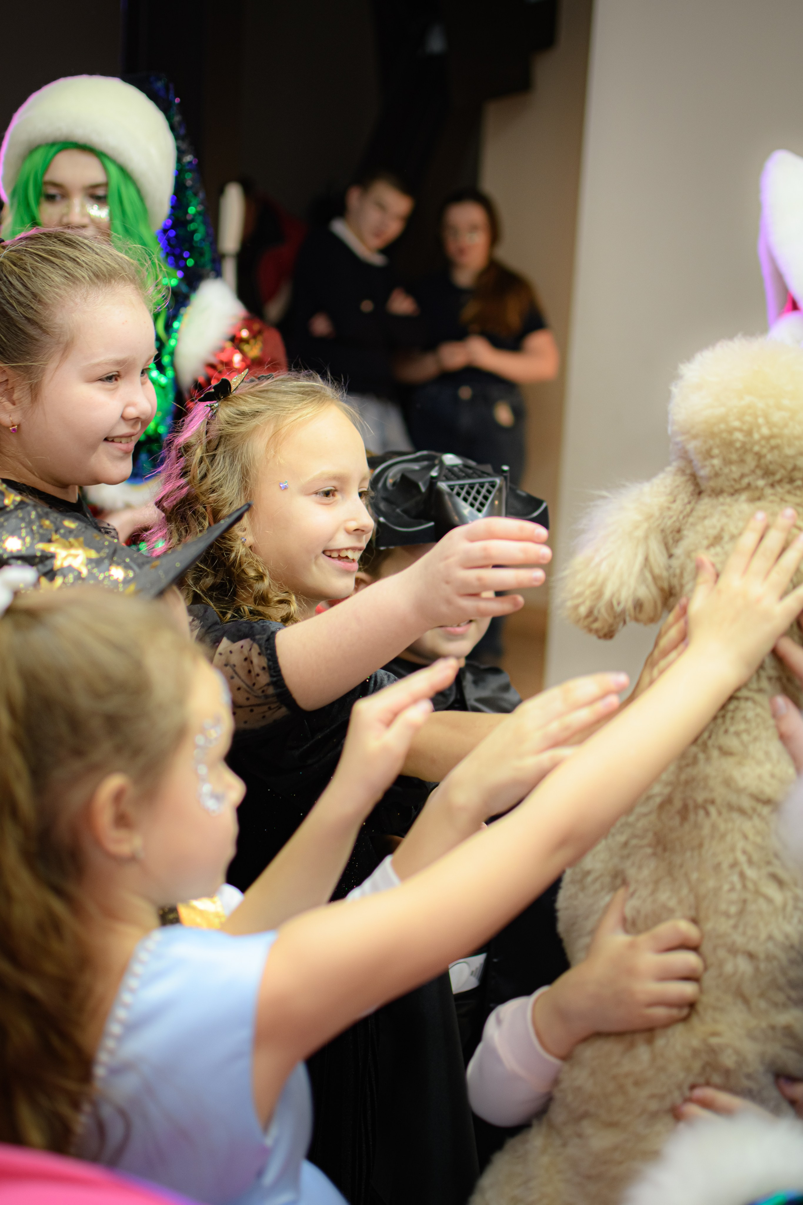 HAPPY NEW YEAR. Photokarish