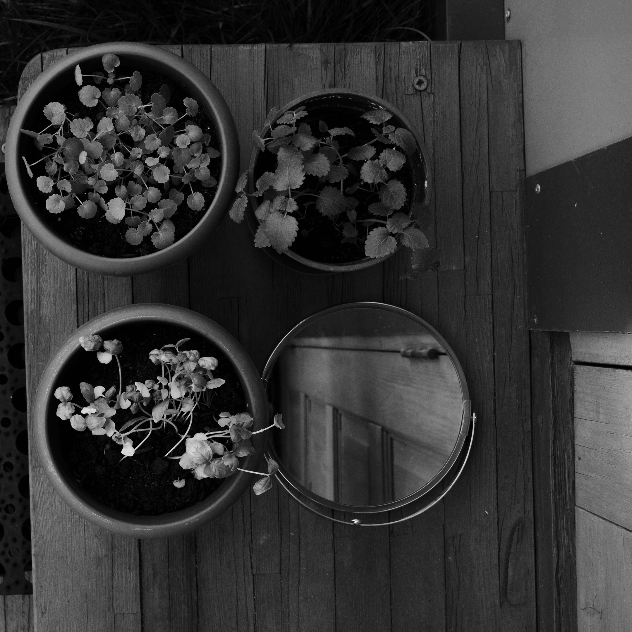 Тени. Портретный фотограф в Москве Евгения Яковенко