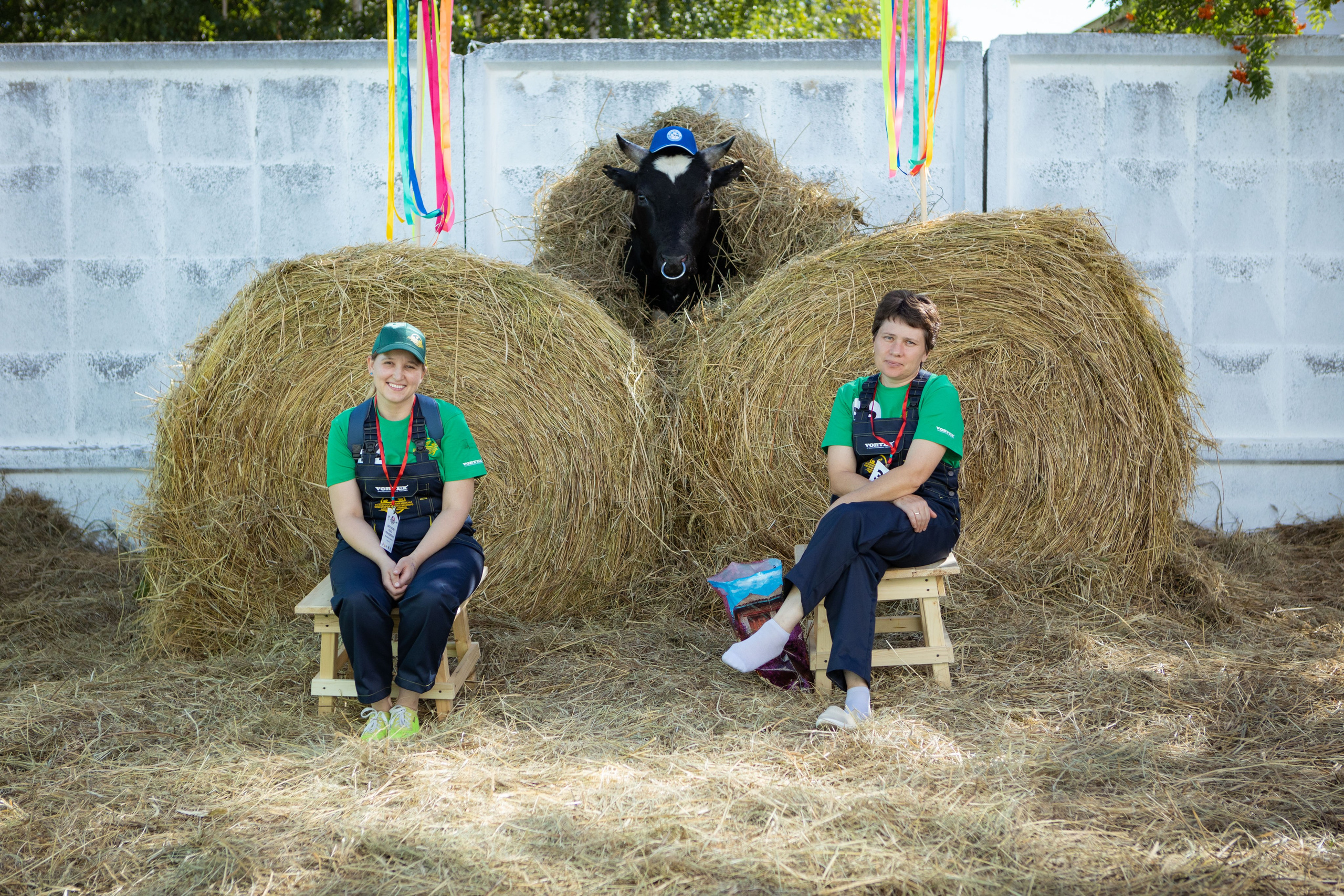 Конкурс операторов осеменения коров [17-18 августа 2022 г.]. Фотограф Виноградов Константин