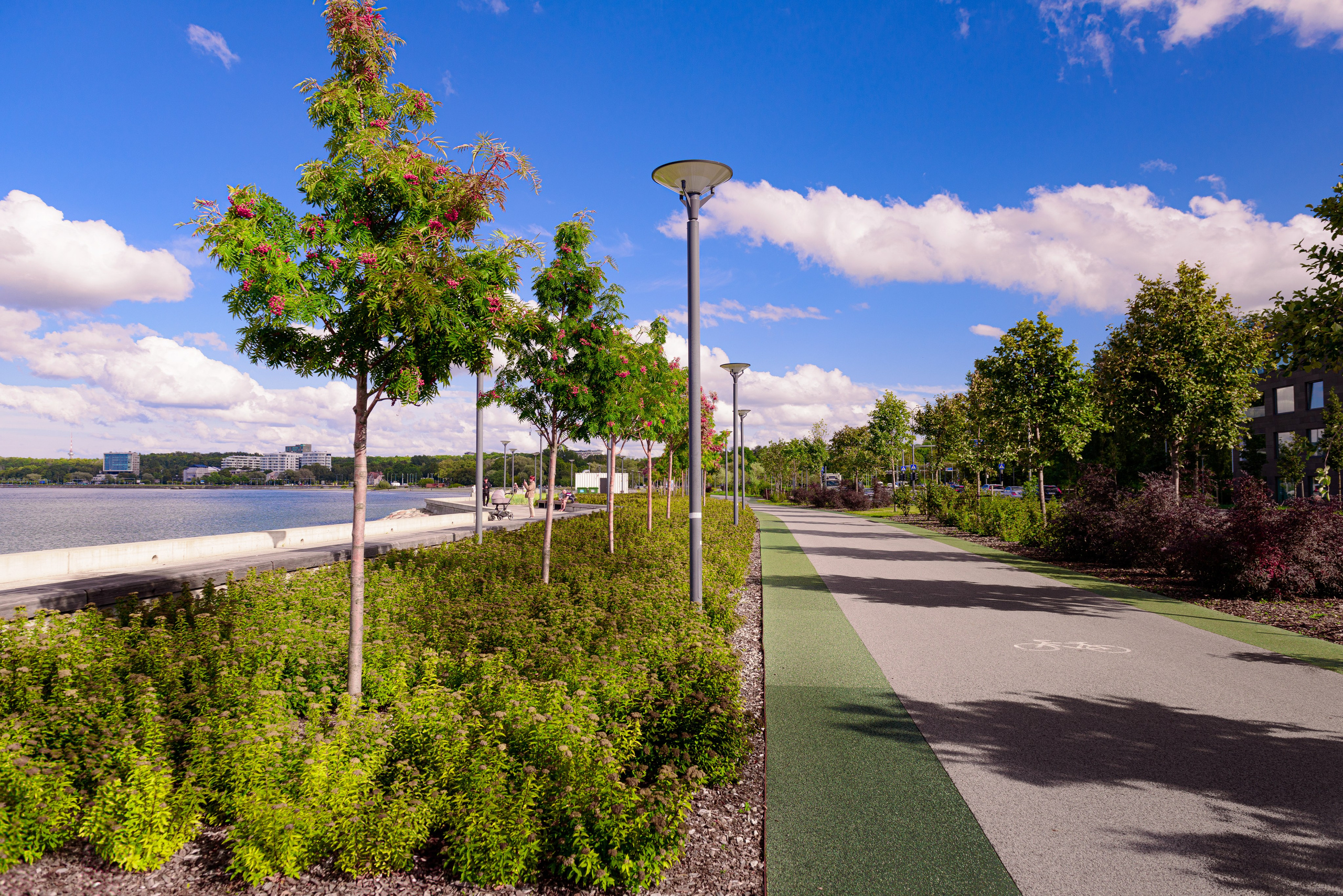 пляж пейзажа Пирита Эстония Таллинн 