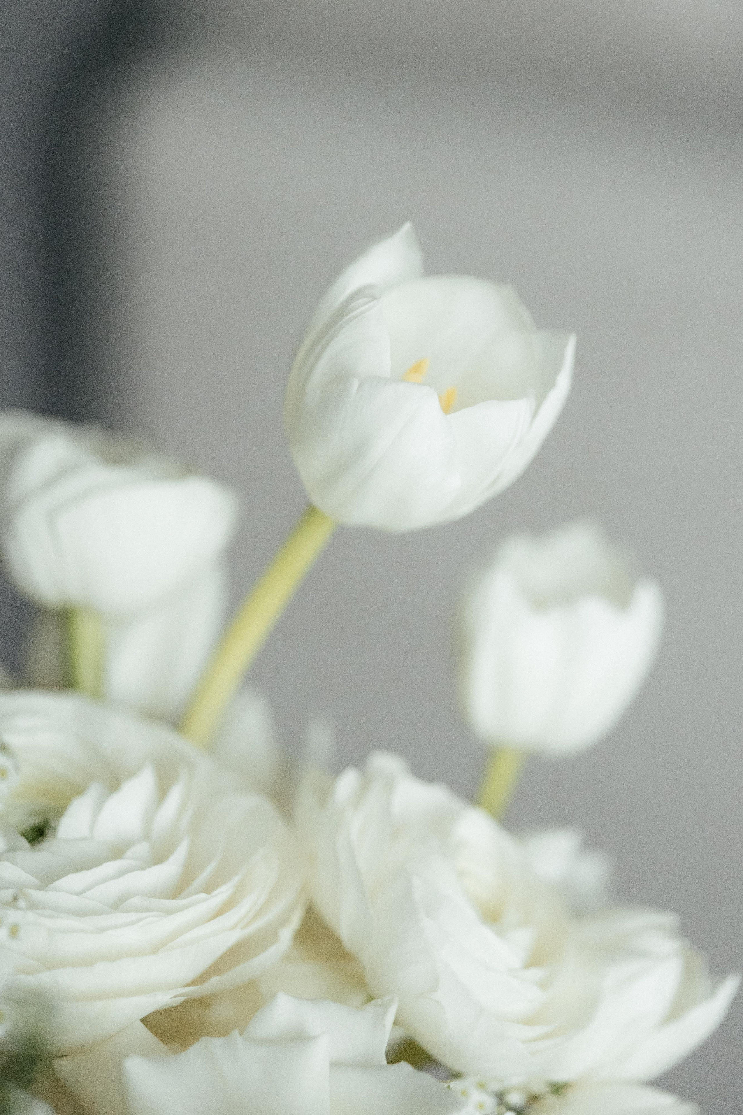 Алеся и Алексей. Свадебный фотограф Минск РБ