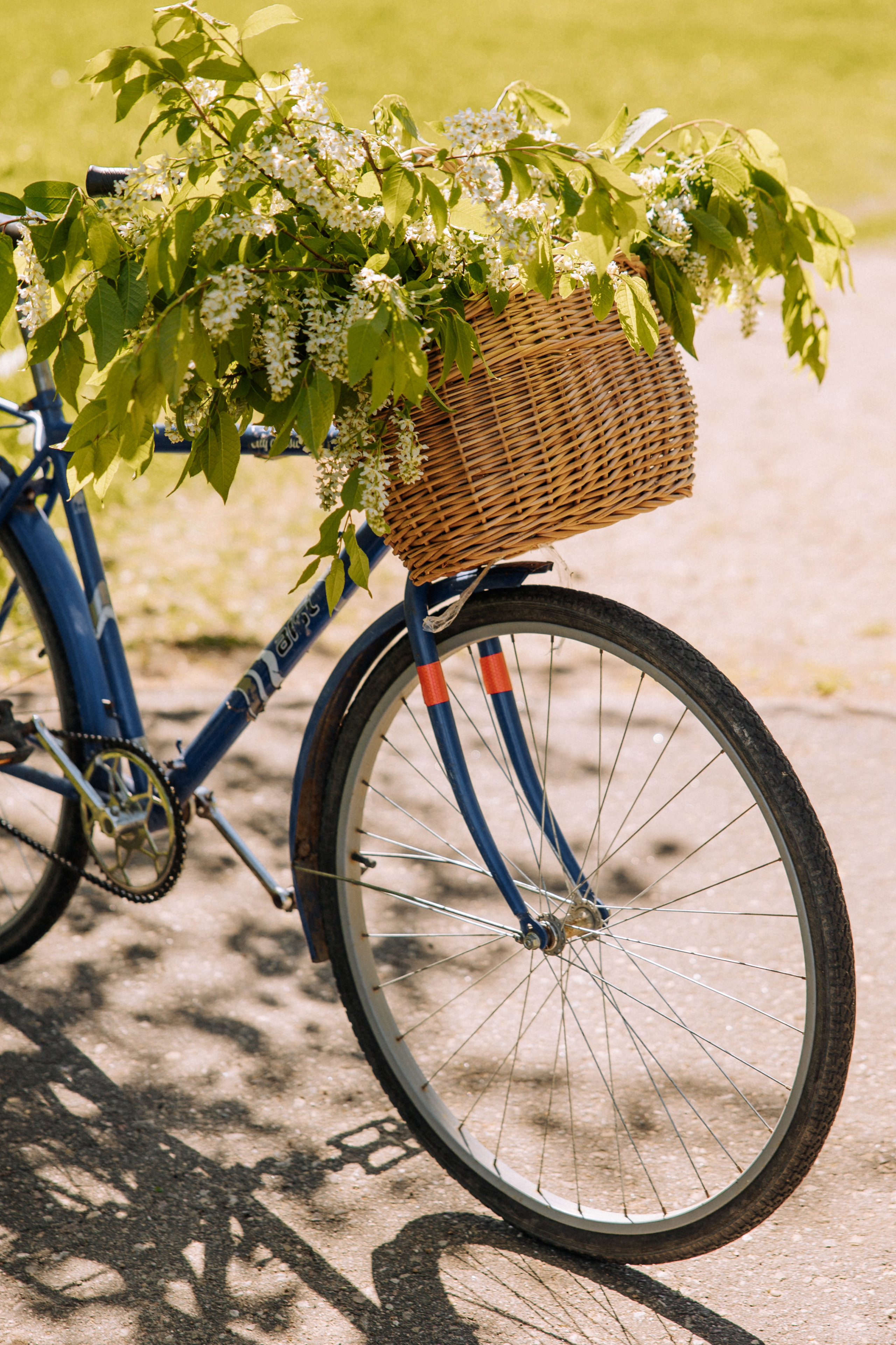 Катя и Виталик. Свадебный фотограф Минск РБ