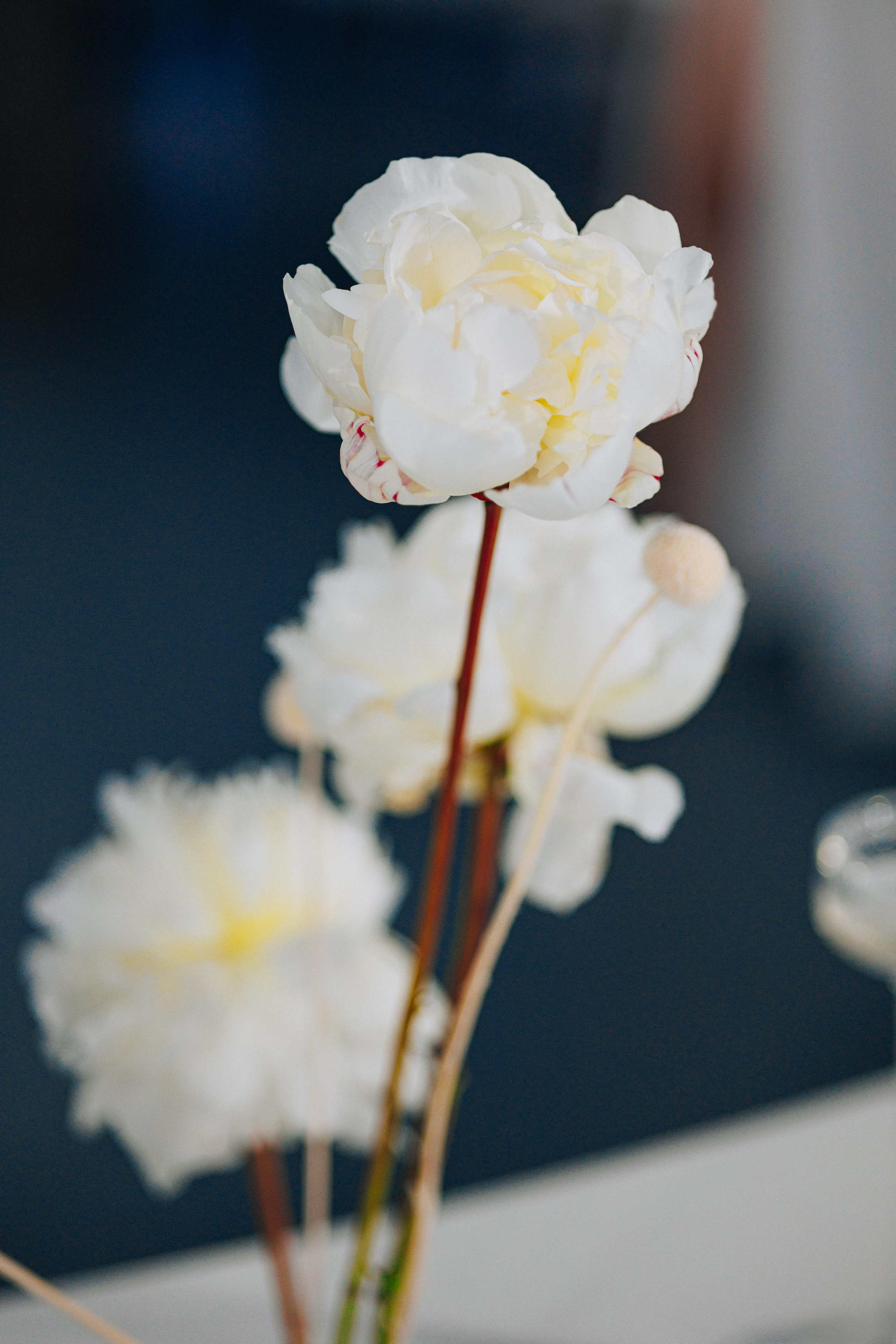 Гала-ужин SHEF-POVOR.BY. Свадебный фотограф Минск РБ