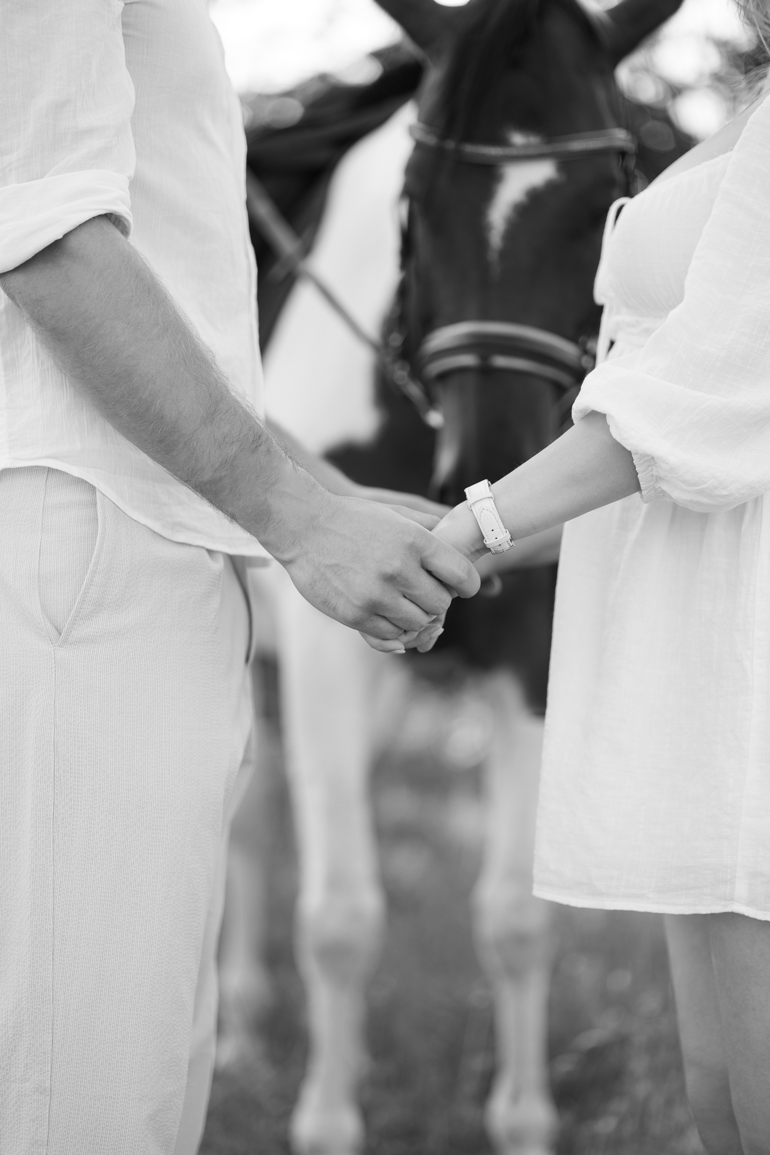 Конная прогулка. Свадебный фотограф Минск РБ