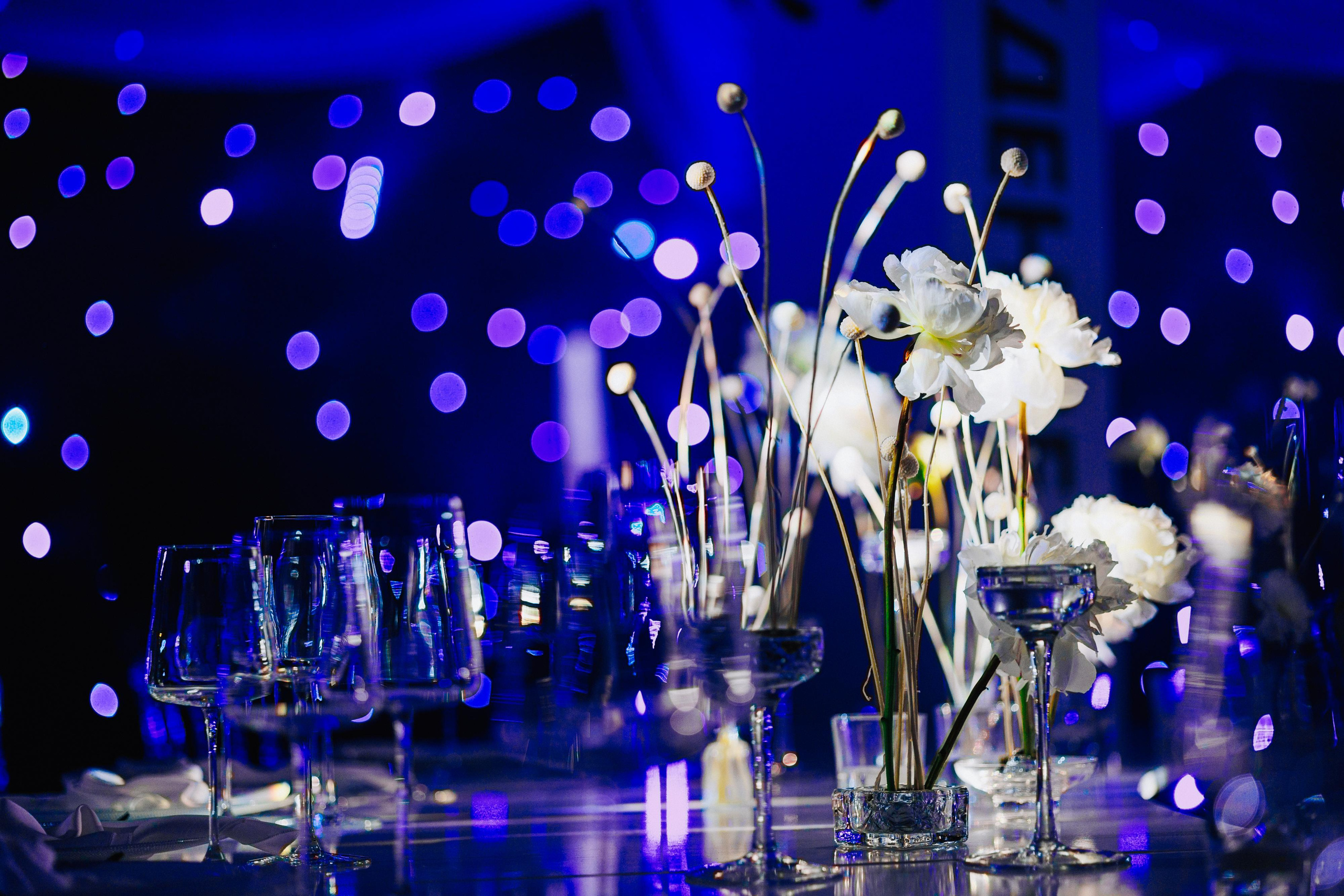 Гала-ужин SHEF-POVOR.BY. Свадебный фотограф Минск РБ