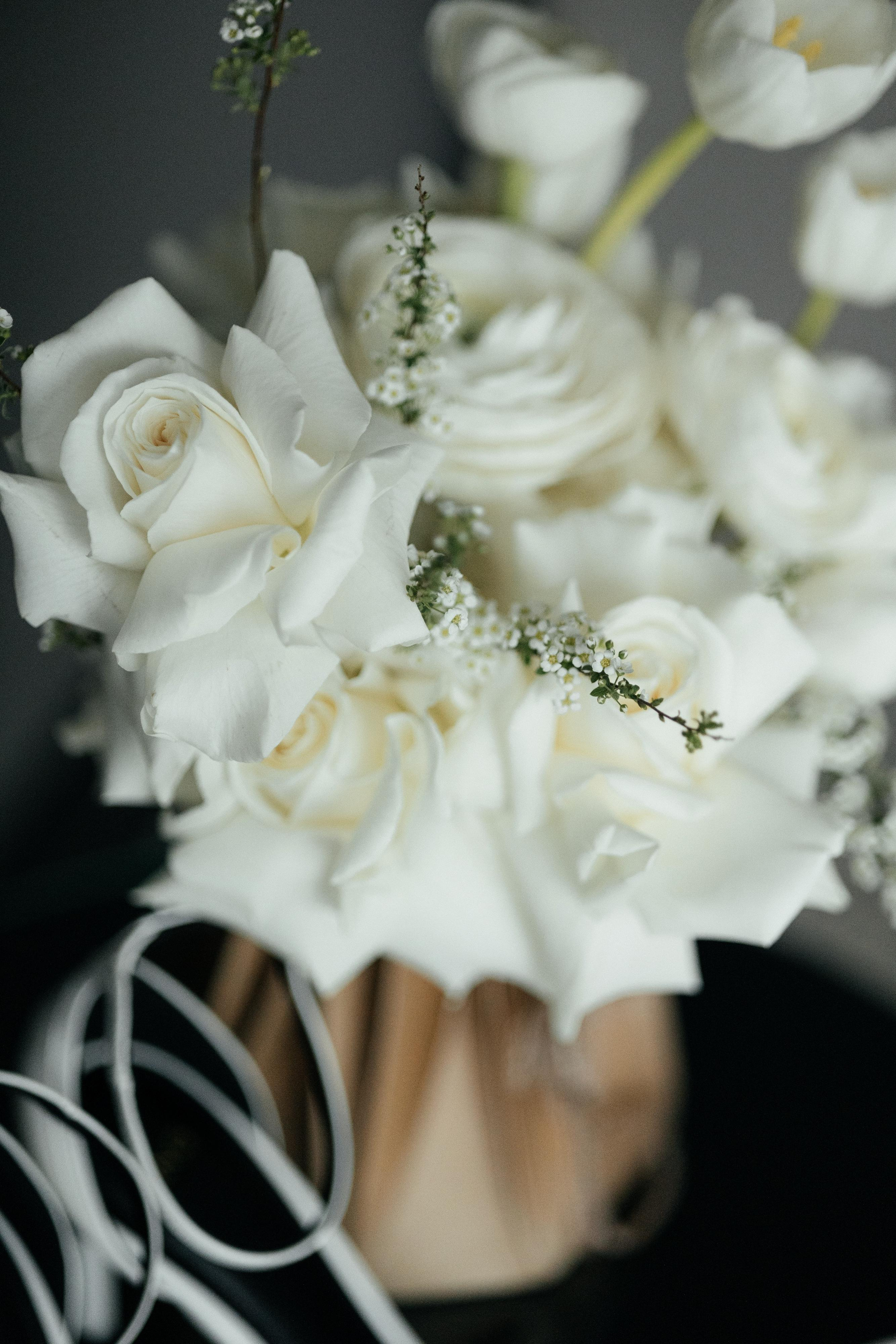 Алеся и Алексей. Свадебный фотограф Минск РБ