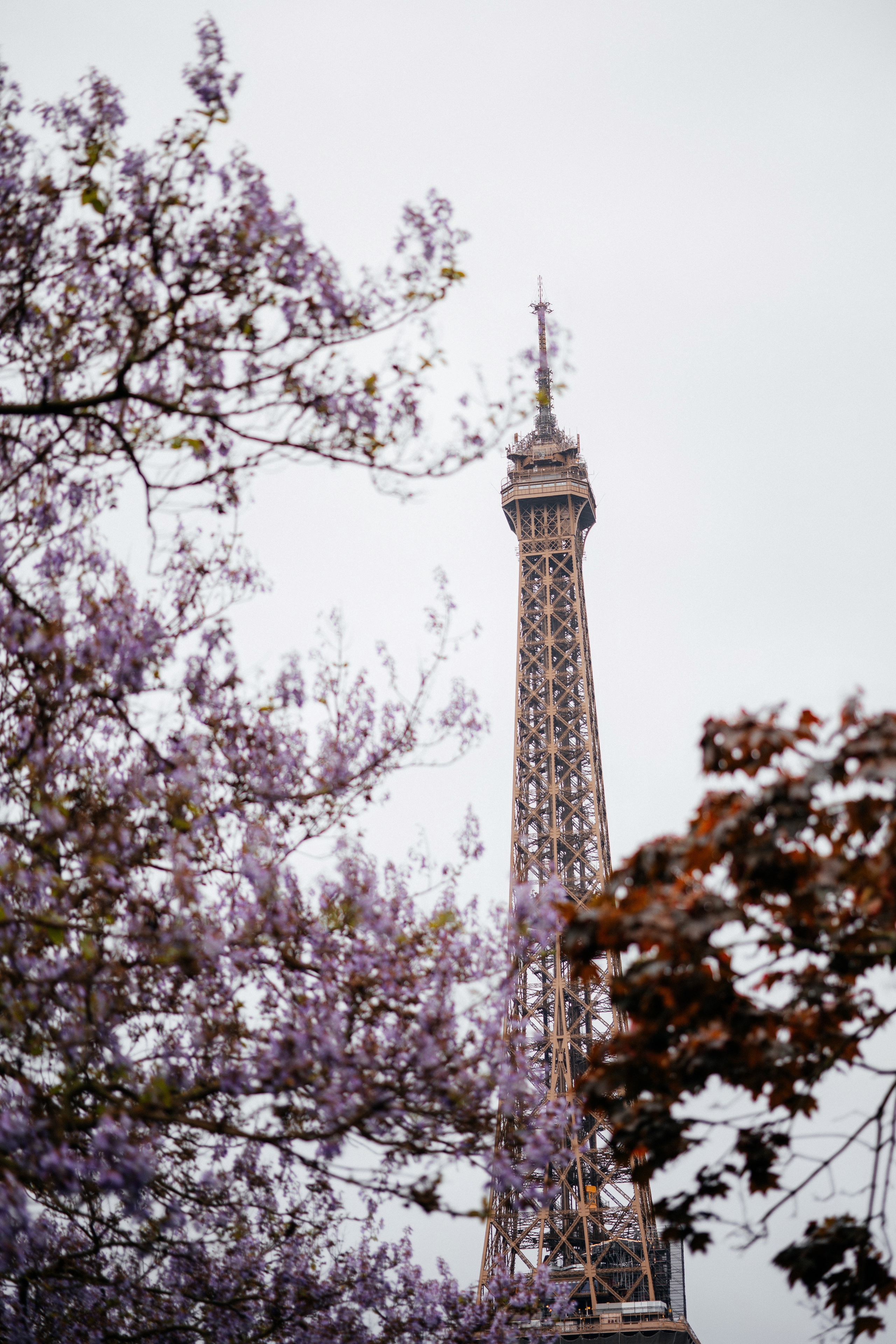 Париж для двоих. Свадебный фотограф Минск РБ