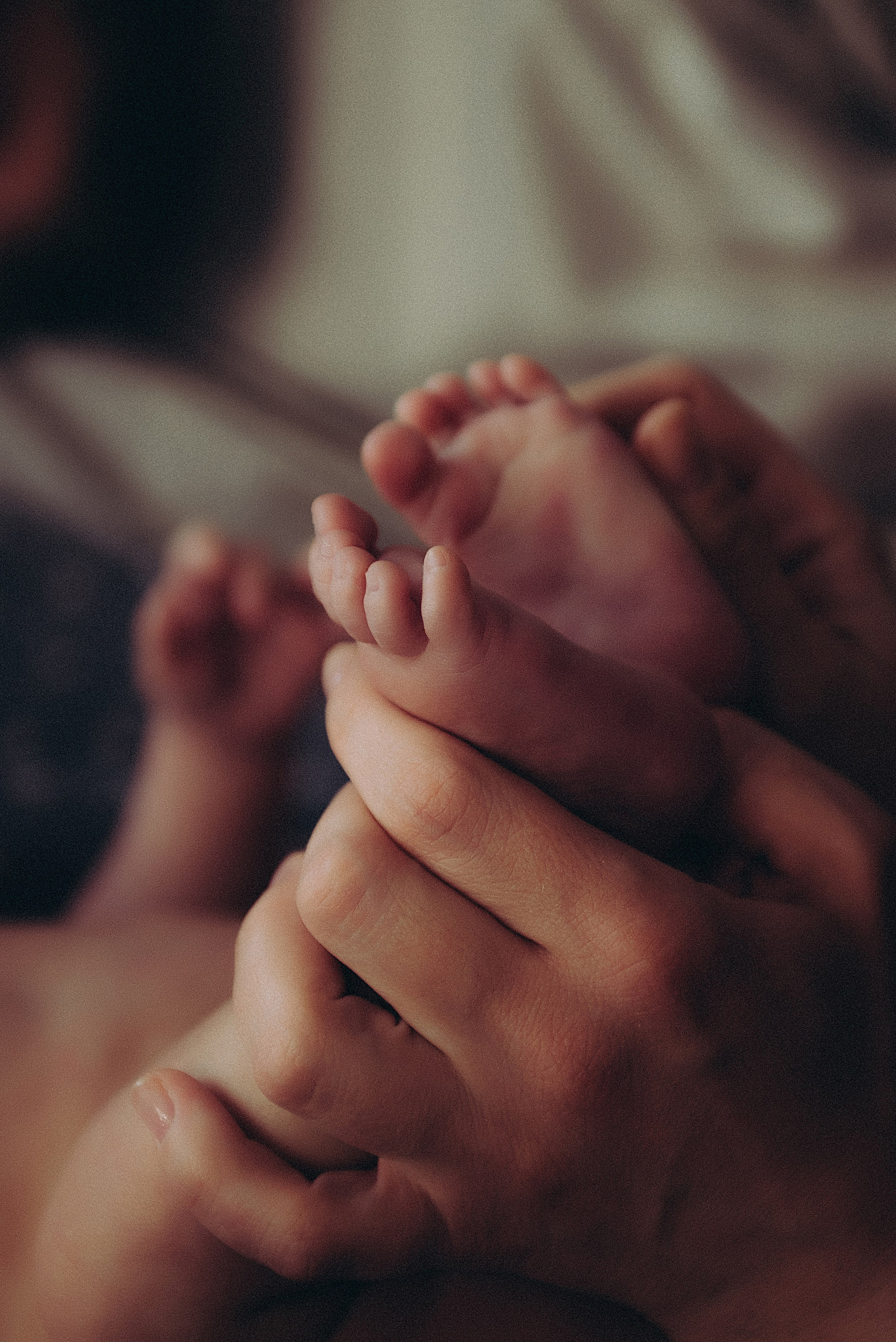 Кусочек счастья. Семейный и детский фотограф в Белгороде Ольга Сорока