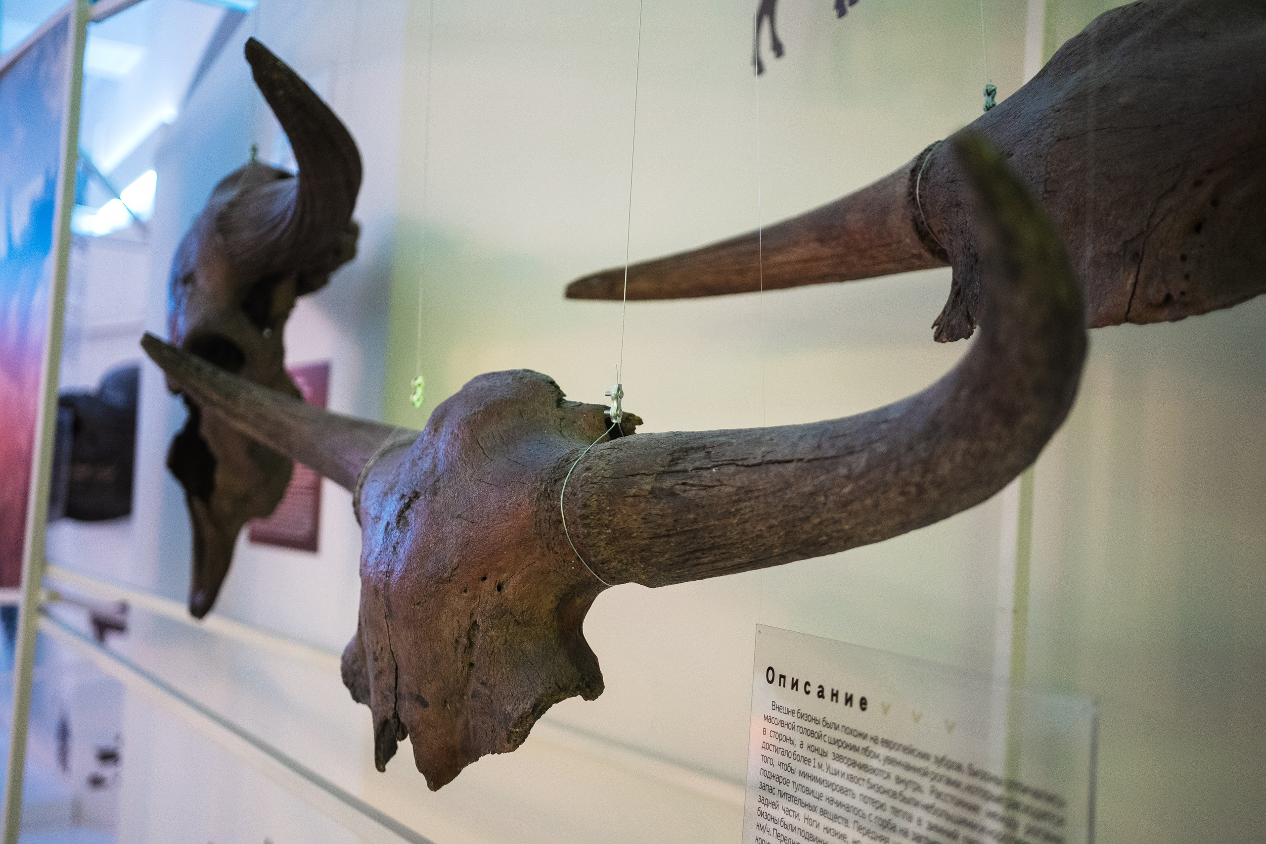 Ночь музеев 2024. Фотограф на любое событие в Кемерово