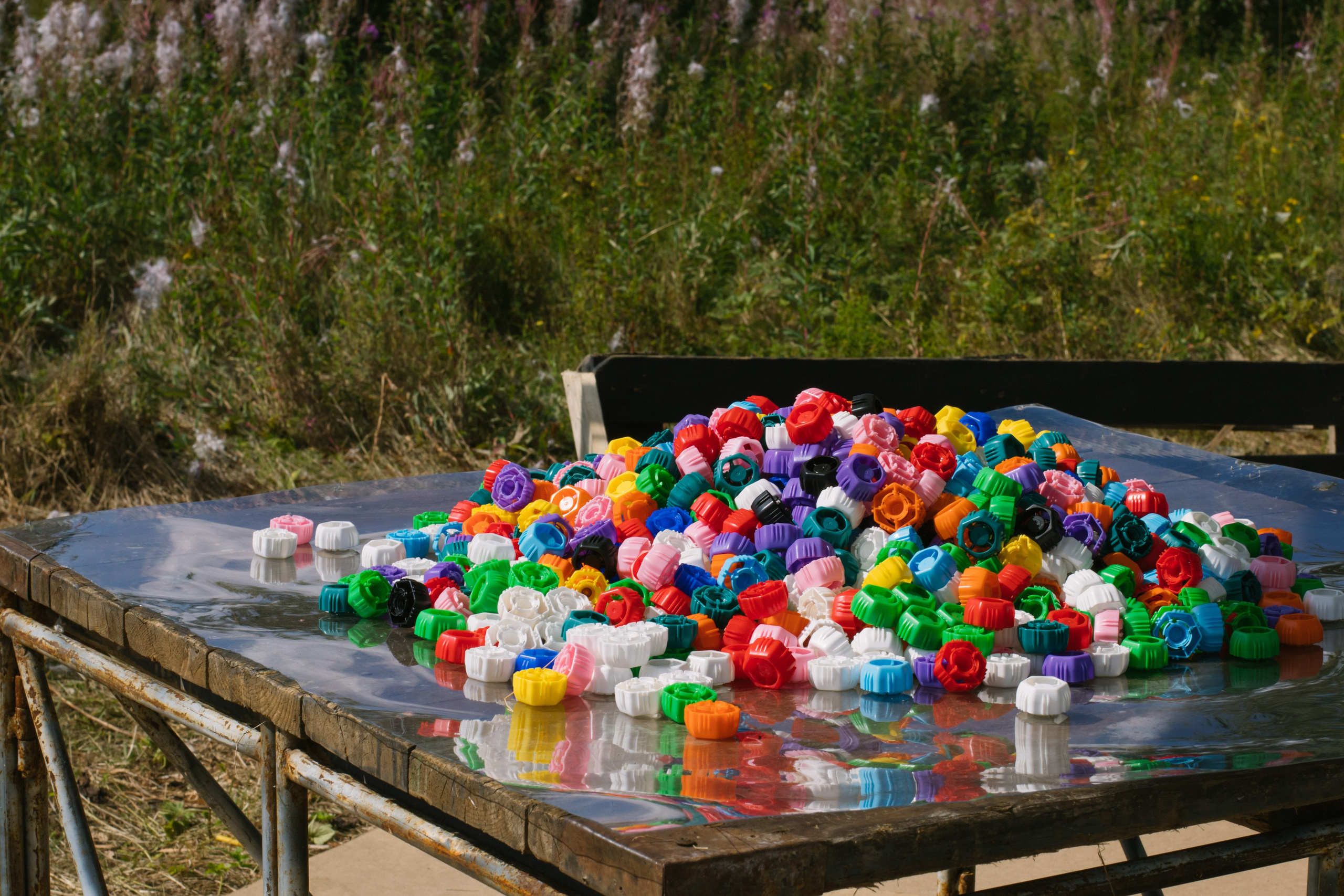 Фестивали, выставки. Коммерческий фотограф в Санкт-Петербурге (СПб) Екатерина Панчёха, Панчёшка