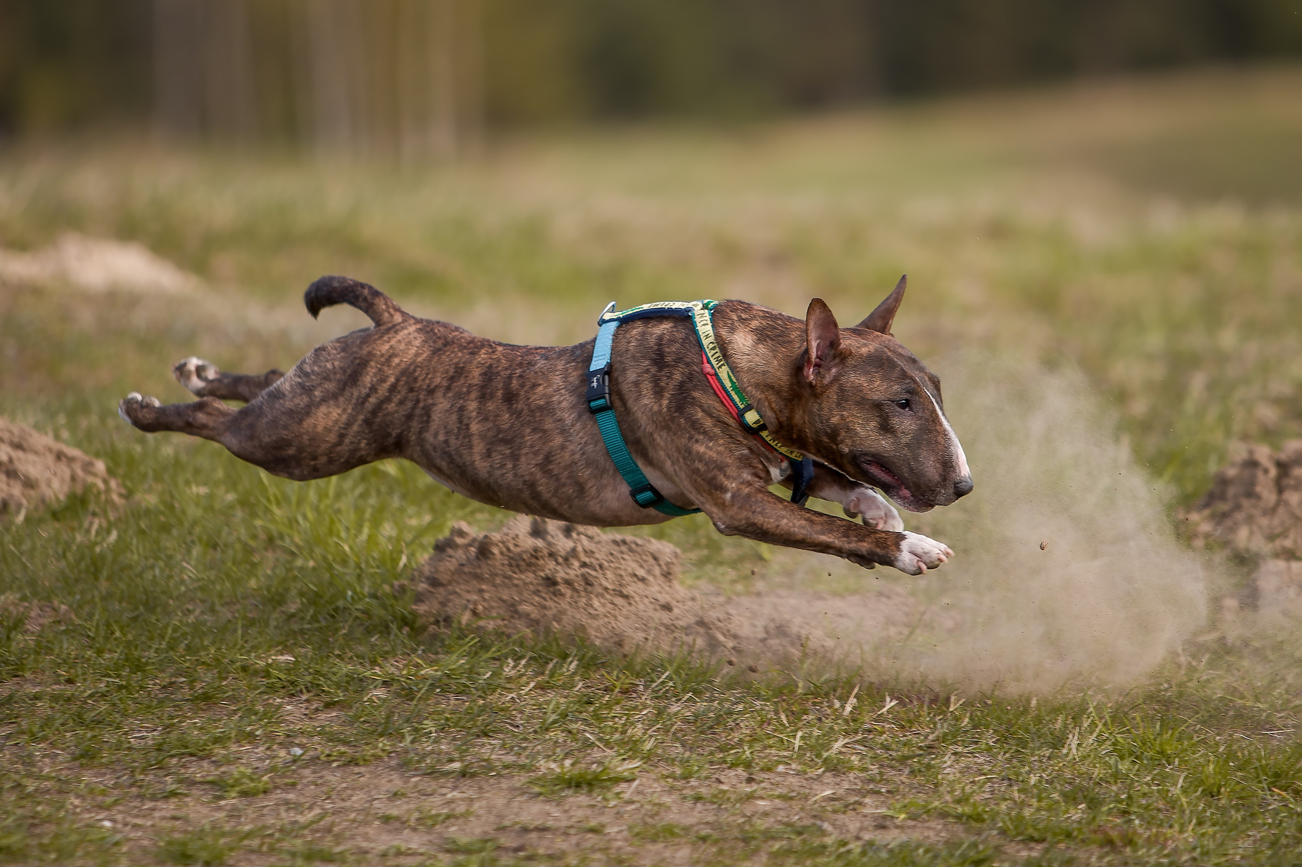 Lure Club 2025. Irenephoto.ru