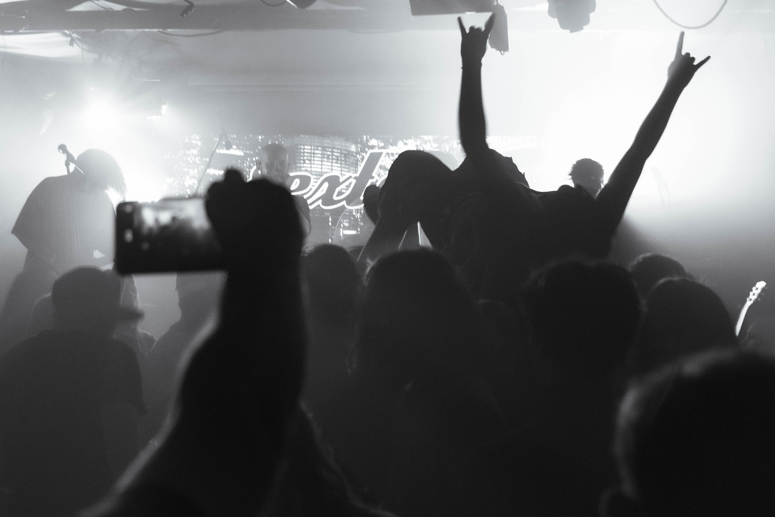 Concerts. Фотограф Алексей Журавлёв