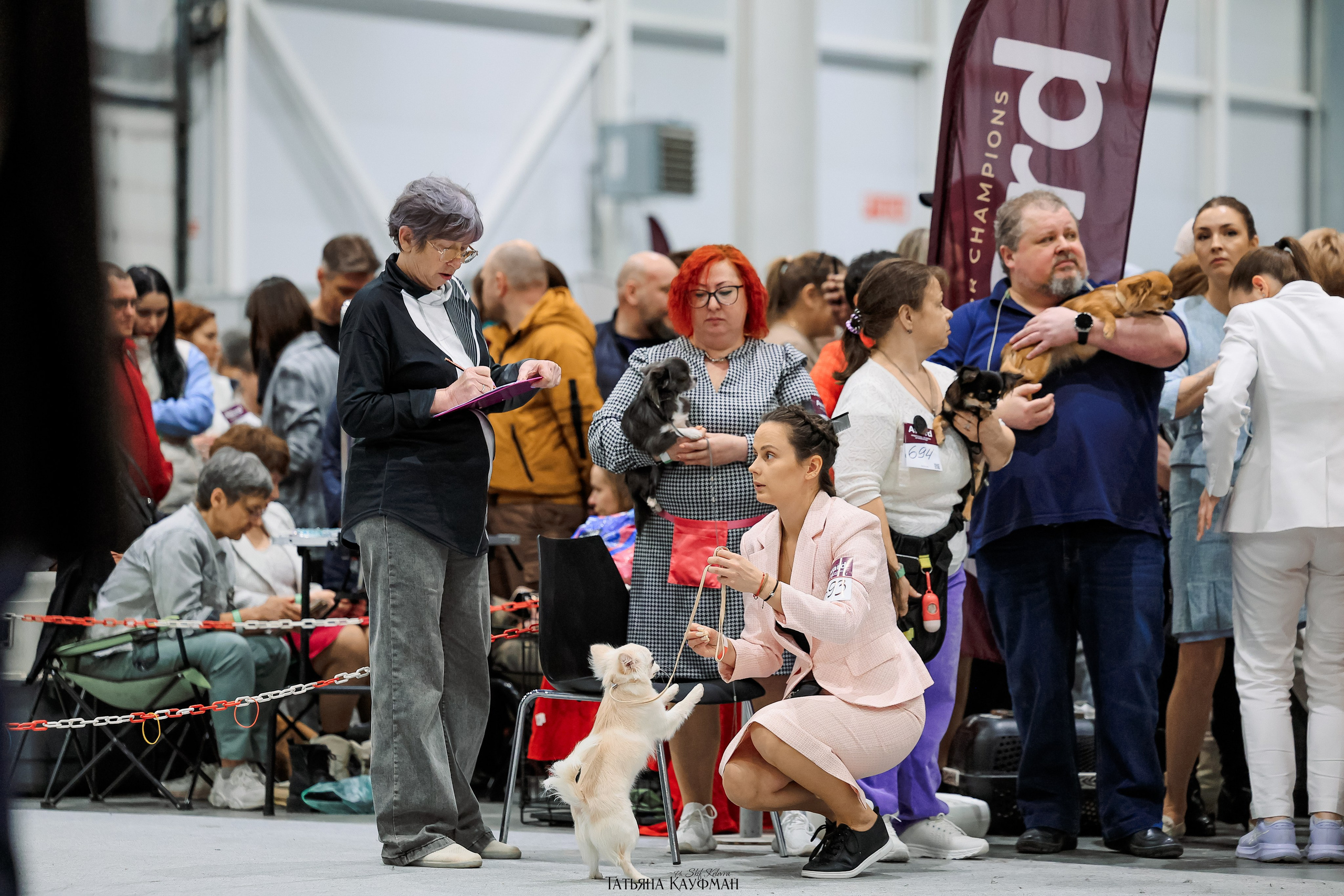 28-29.03.2026 Рейтинговая выставка в Новосибирске. Фотограф Анималист из Новосибирска Татьяна Кауфман