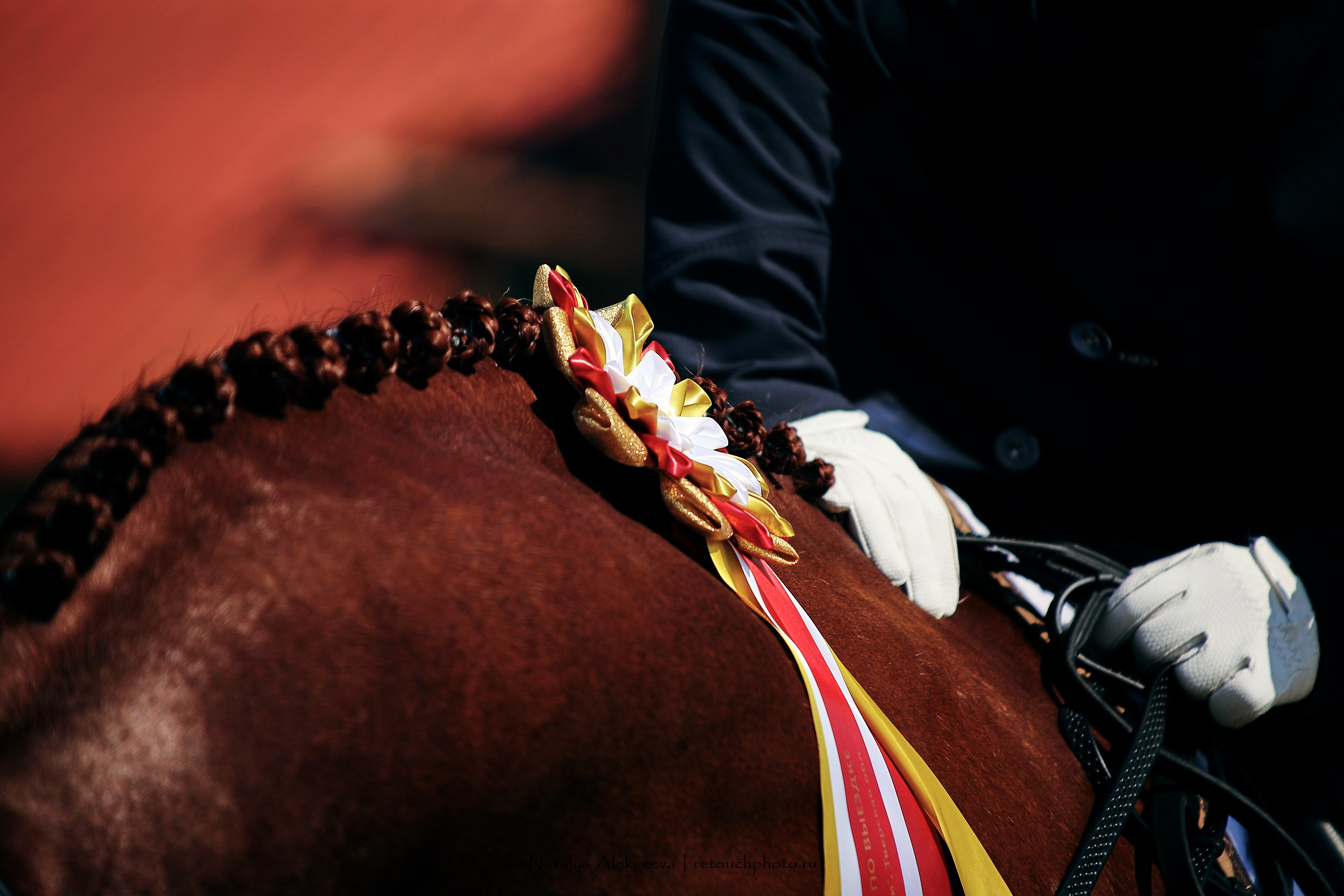 Личный ЧР по выездке, КСК Конаковские конюшни | 08'2023. Репортажный фотограф и ретушер в Москве Наталья Алексеева