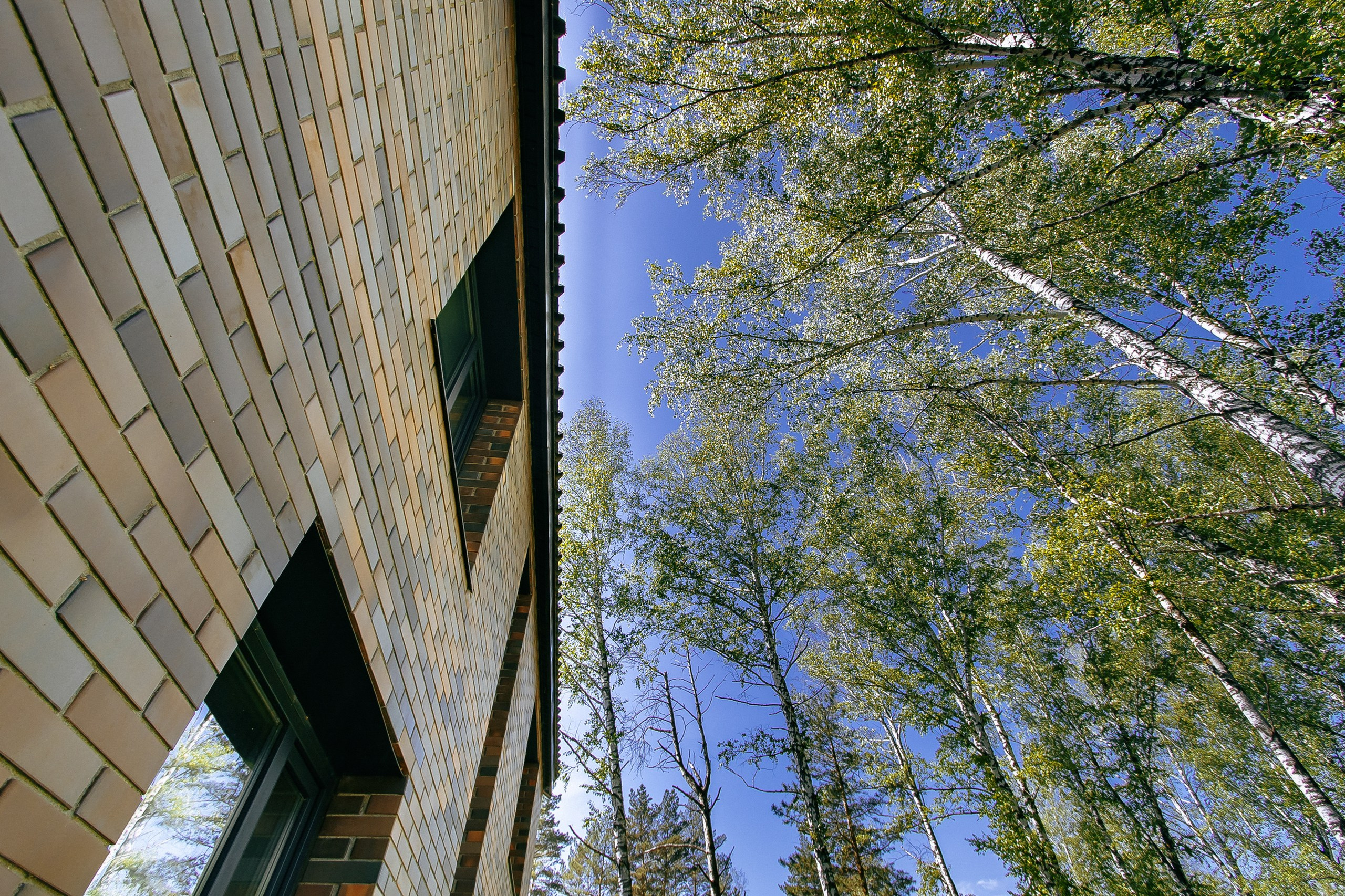 Verde. Свадебный и репортажный фотограф в Новосибирске Матлак Дарья