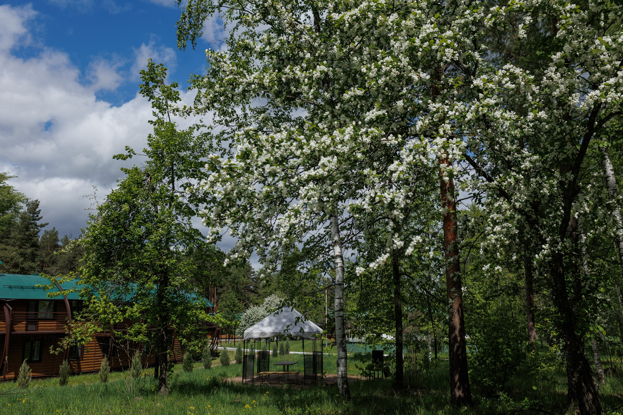 База отдыха «Металлург». Фотограф городских и семейных событий в Нижнем Новгороде Артем Карпухин